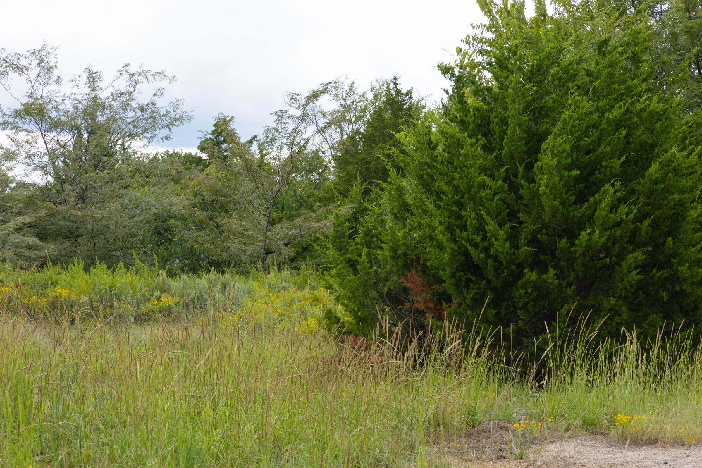 Reserves At Cattail Cove Phase II Tract 50 photo 5