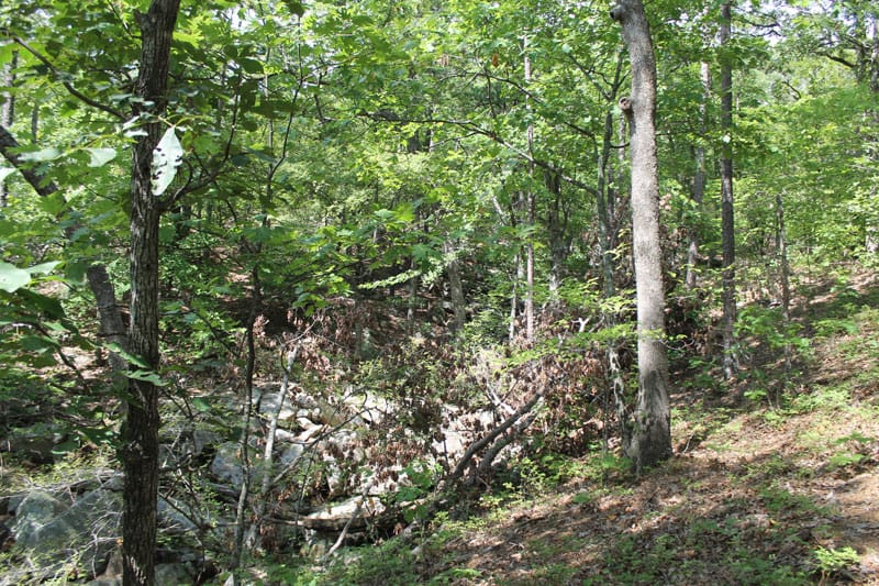 Trophy Ridge Phase III Tract 21 photo 3