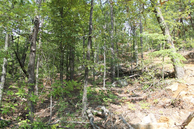 Trophy Ridge Phase III Tract 21 photo 5