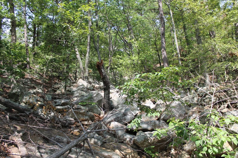 Trophy Ridge Phase III Tract 21 photo 7