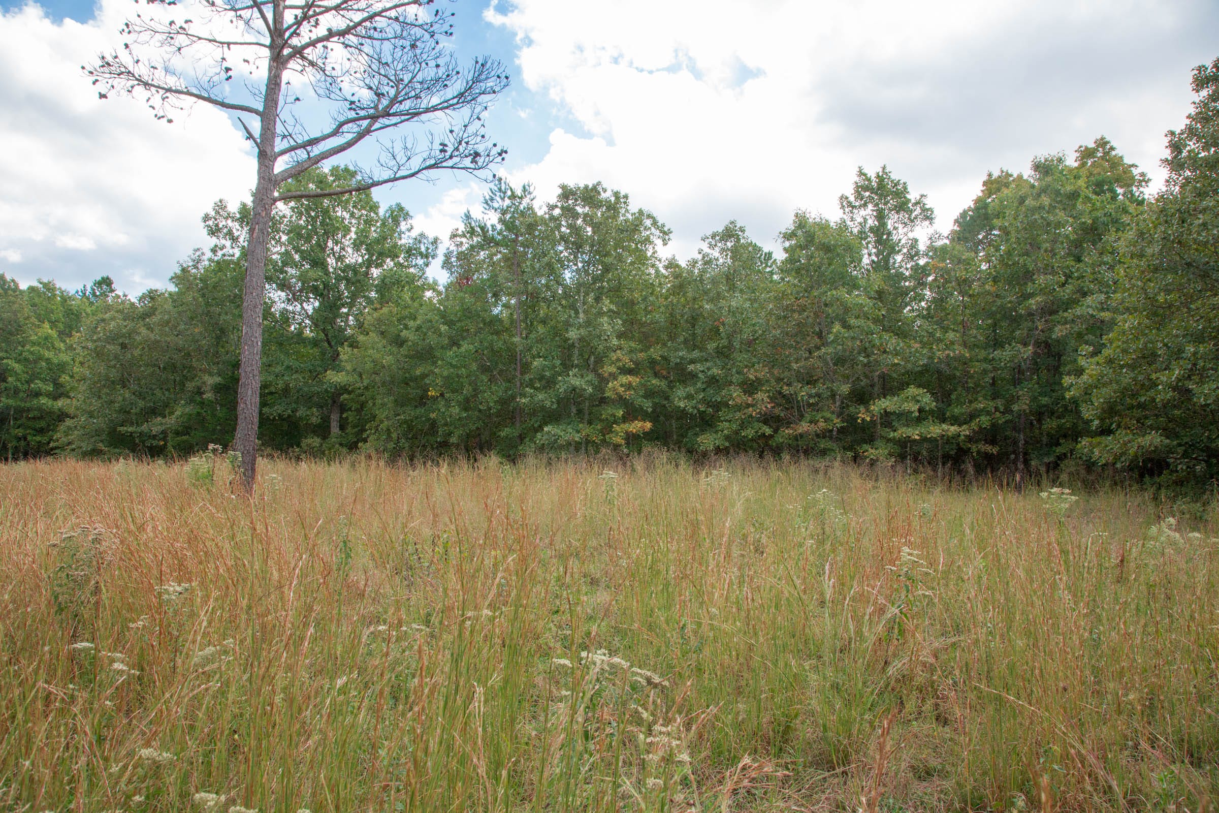 Wagon Wheel Ranch Tract 47 photo 1