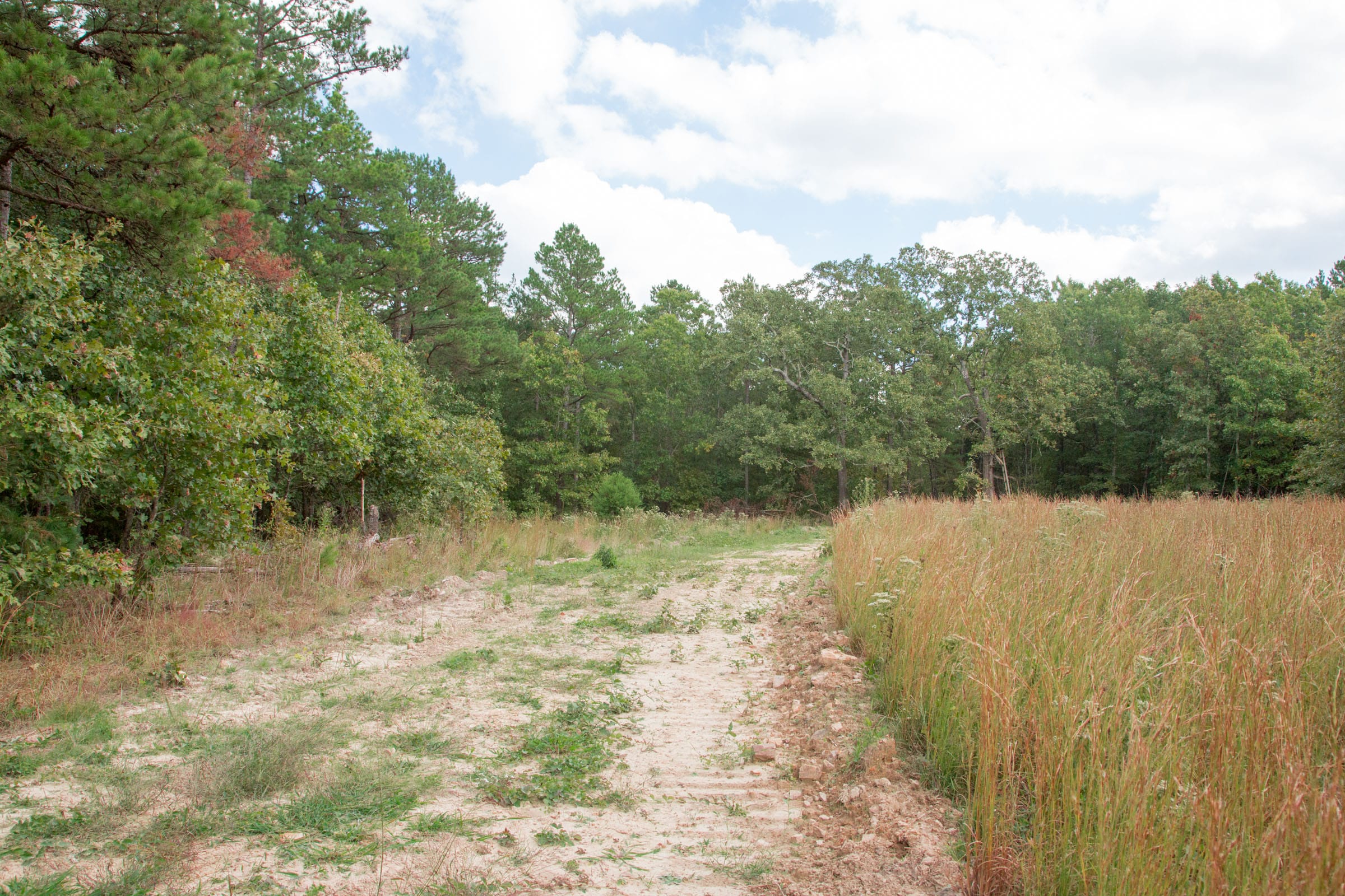 Wagon Wheel Ranch Tract 47 photo 2
