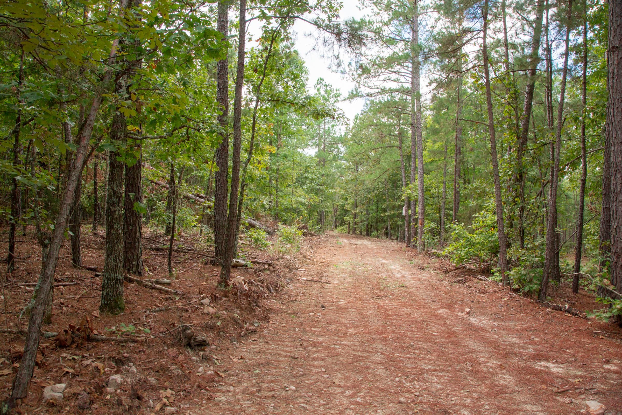 Wagon Wheel Ranch Tract 47 photo 5