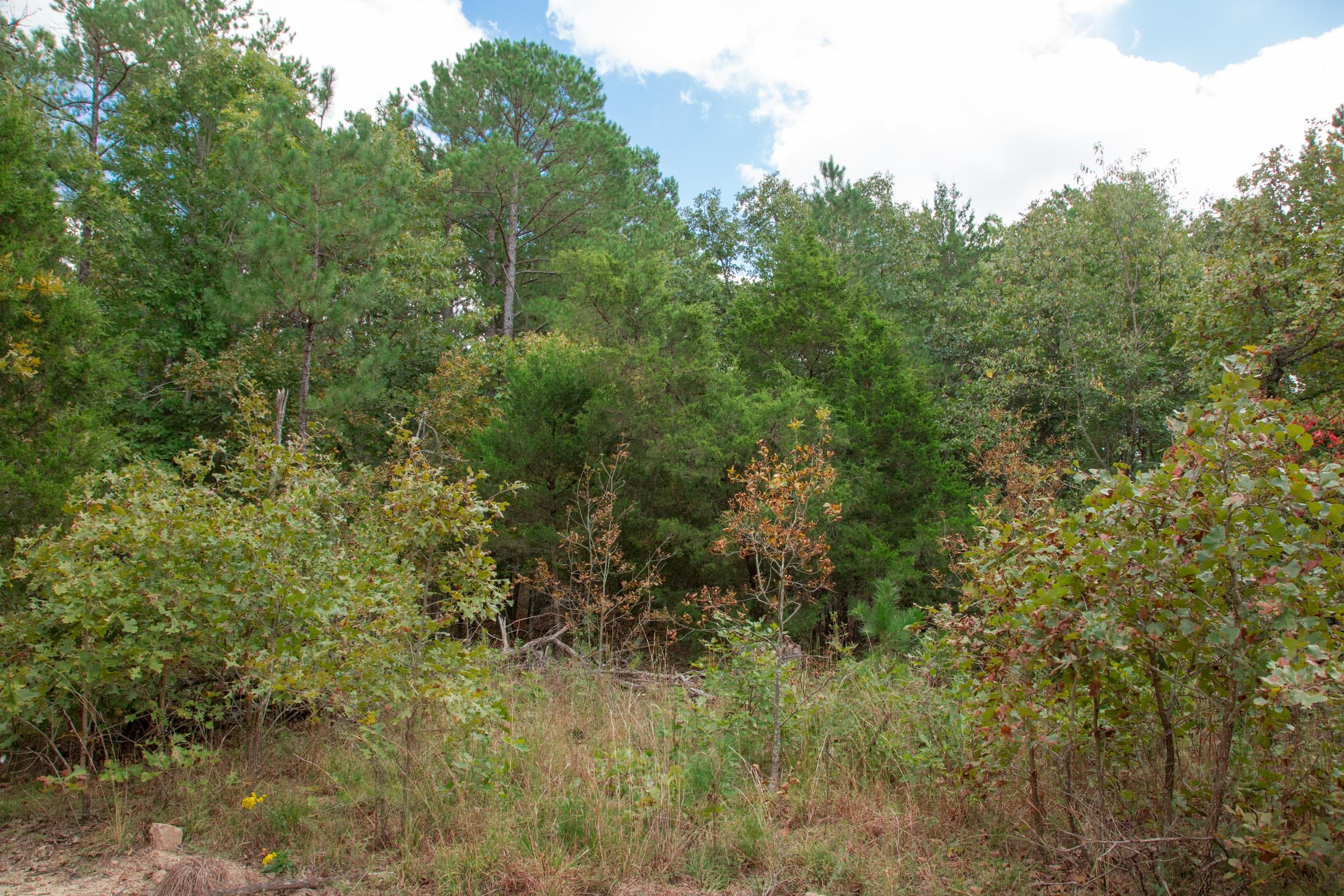 Wagon Wheel Ranch Tract 47 photo 7