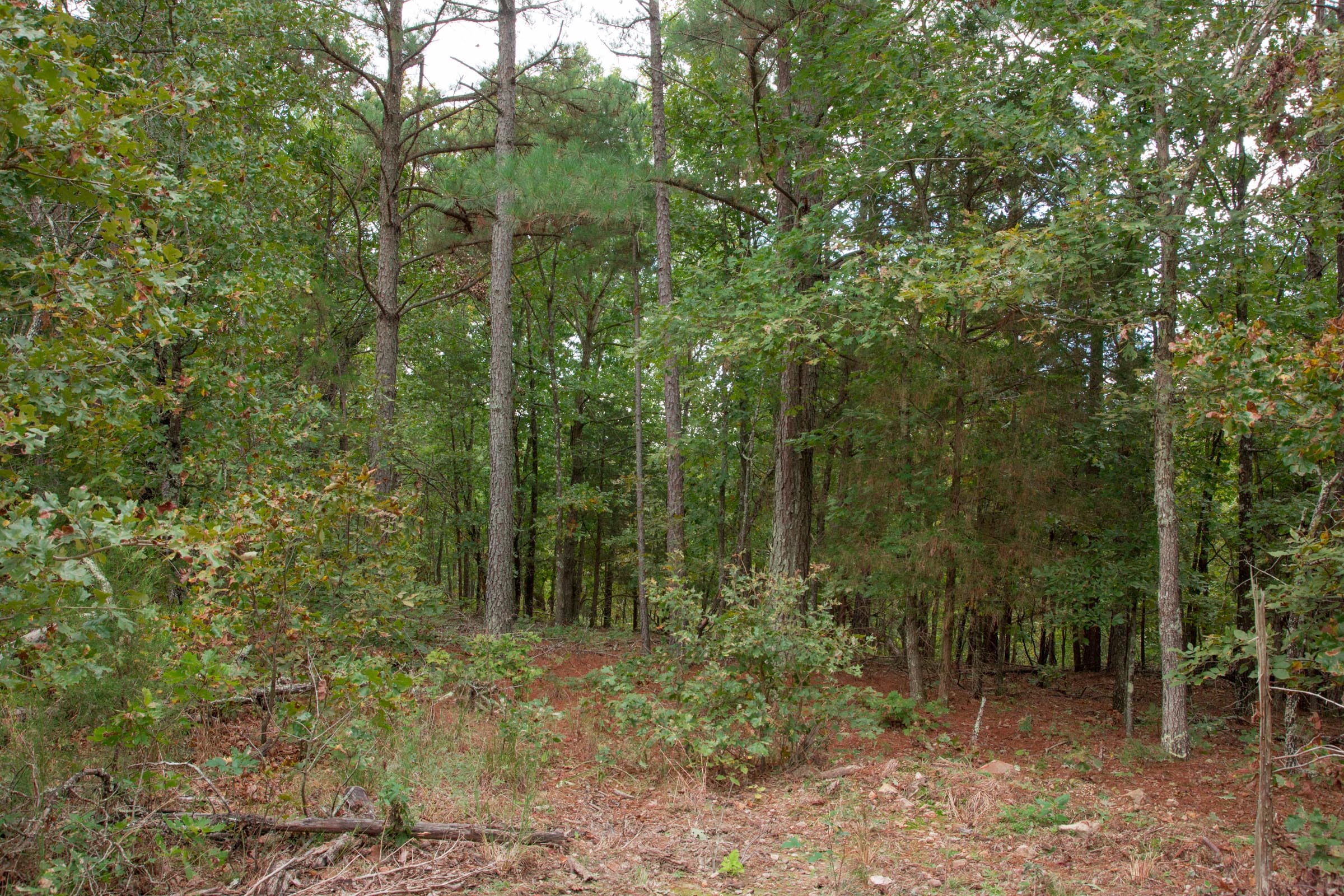 Wagon Wheel Ranch Tract 47 photo 8