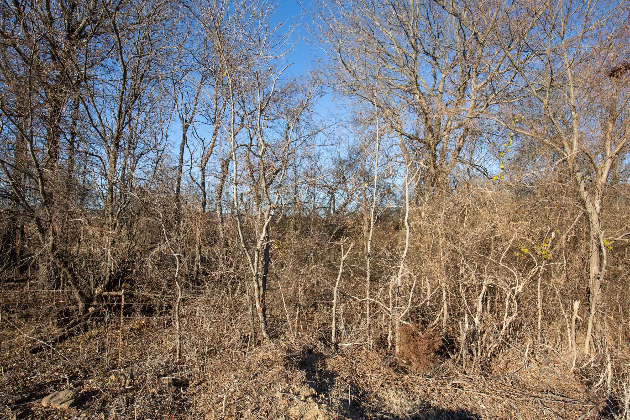 Painted Horse Tract 47 photo 2