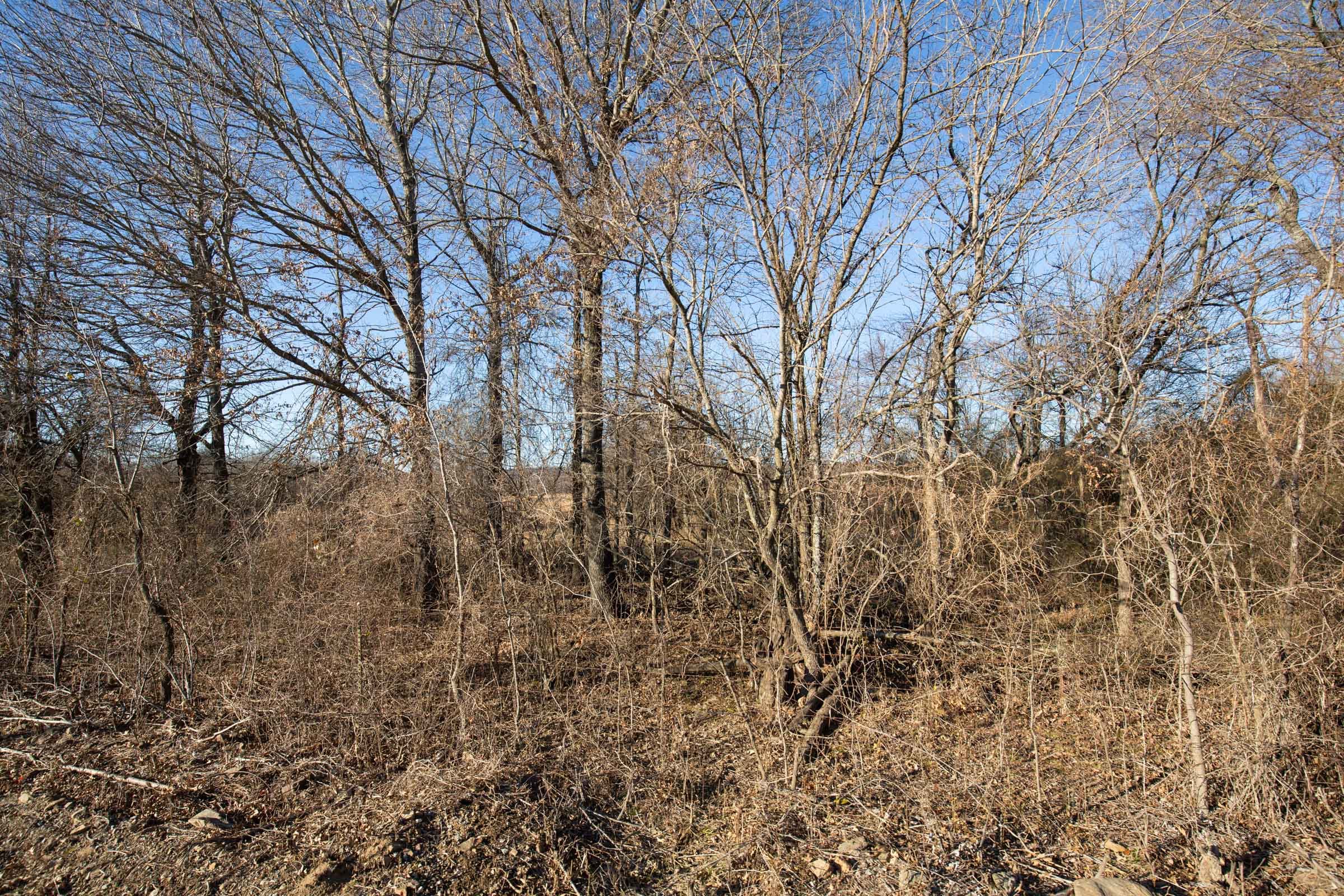 Painted Horse Tract 47 photo 3