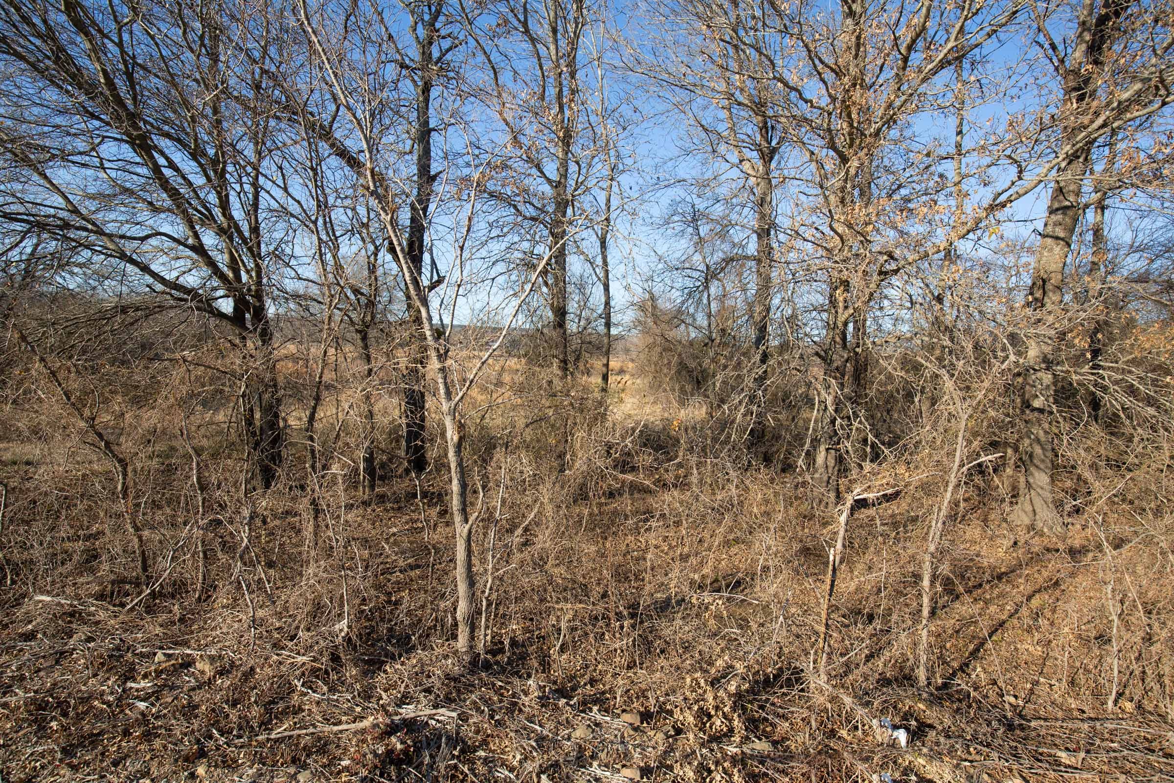 Painted Horse Tract 47 photo 5