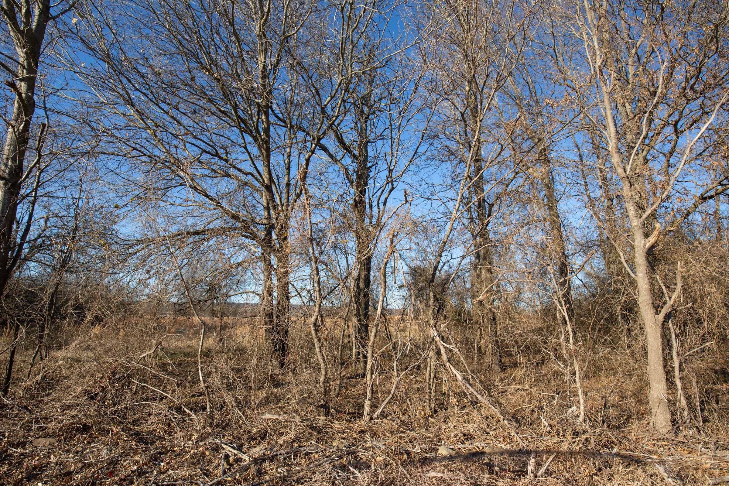 Painted Horse Tract 47 photo 6