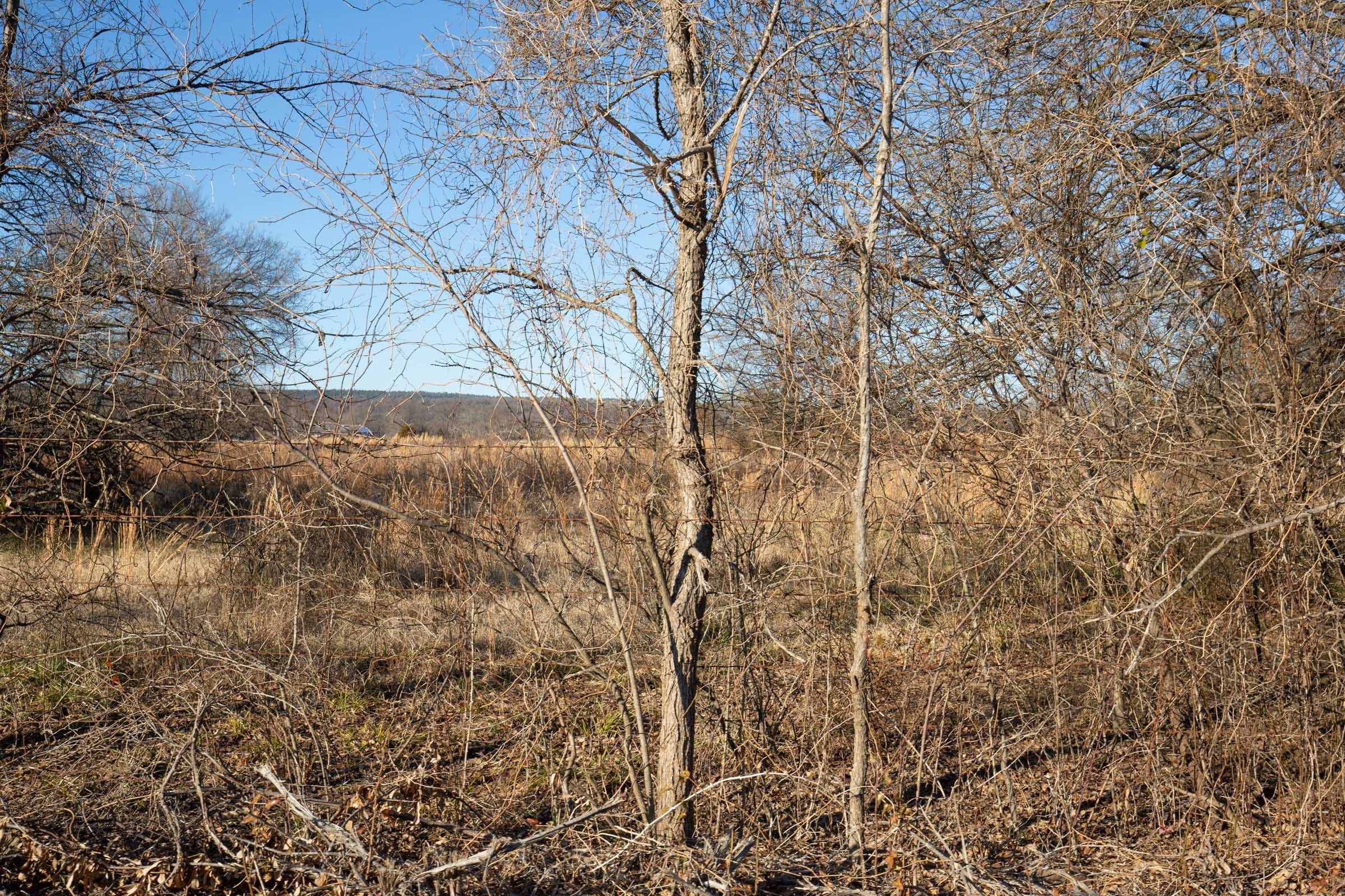 Painted Horse Tract 47 photo 7