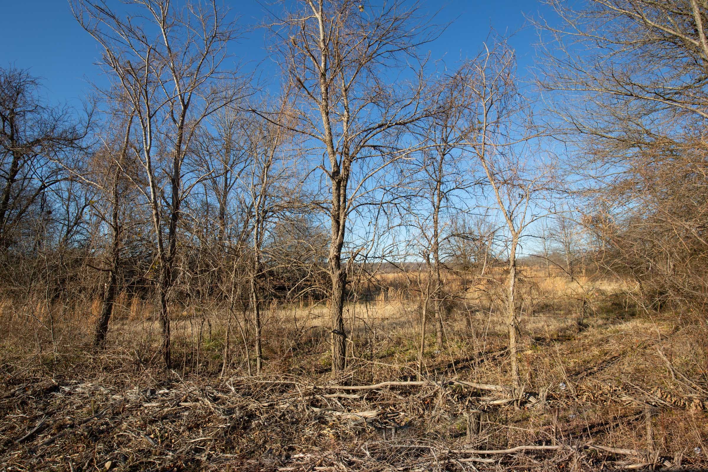 Painted Horse Tract 47 photo 9
