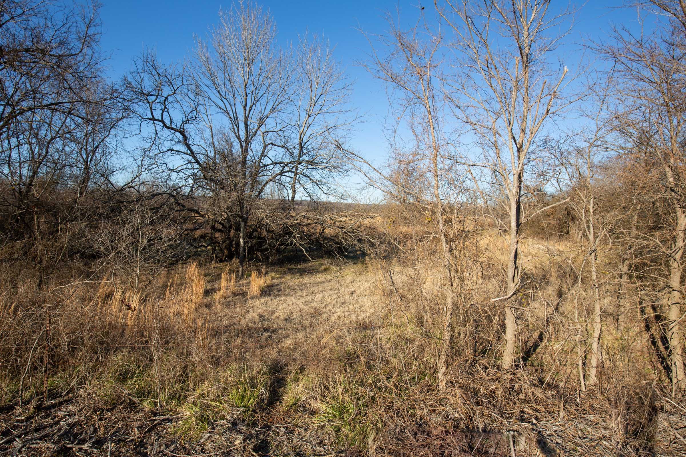 Painted Horse Tract 47 photo 10