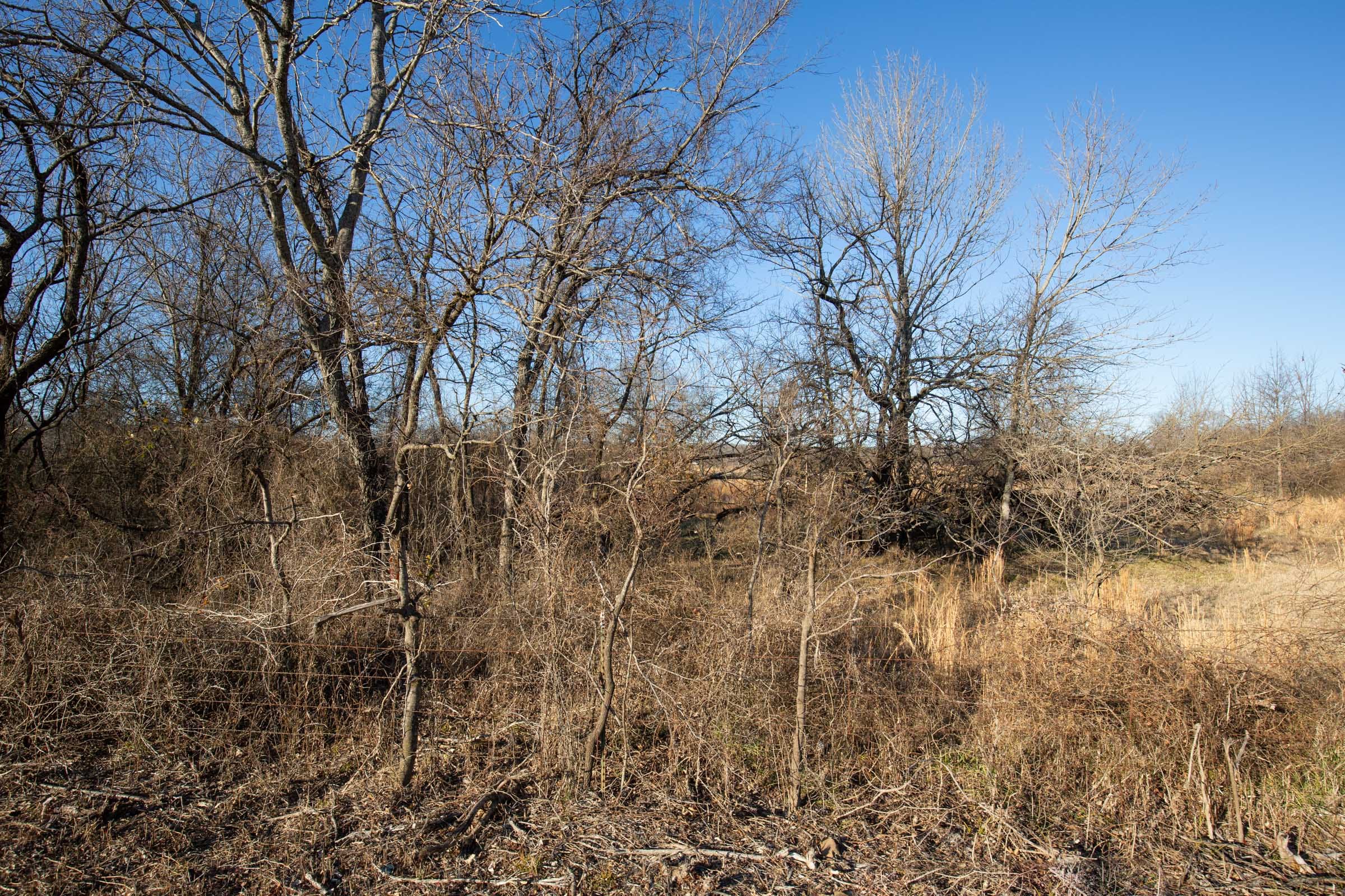 Painted Horse Tract 47 photo 11