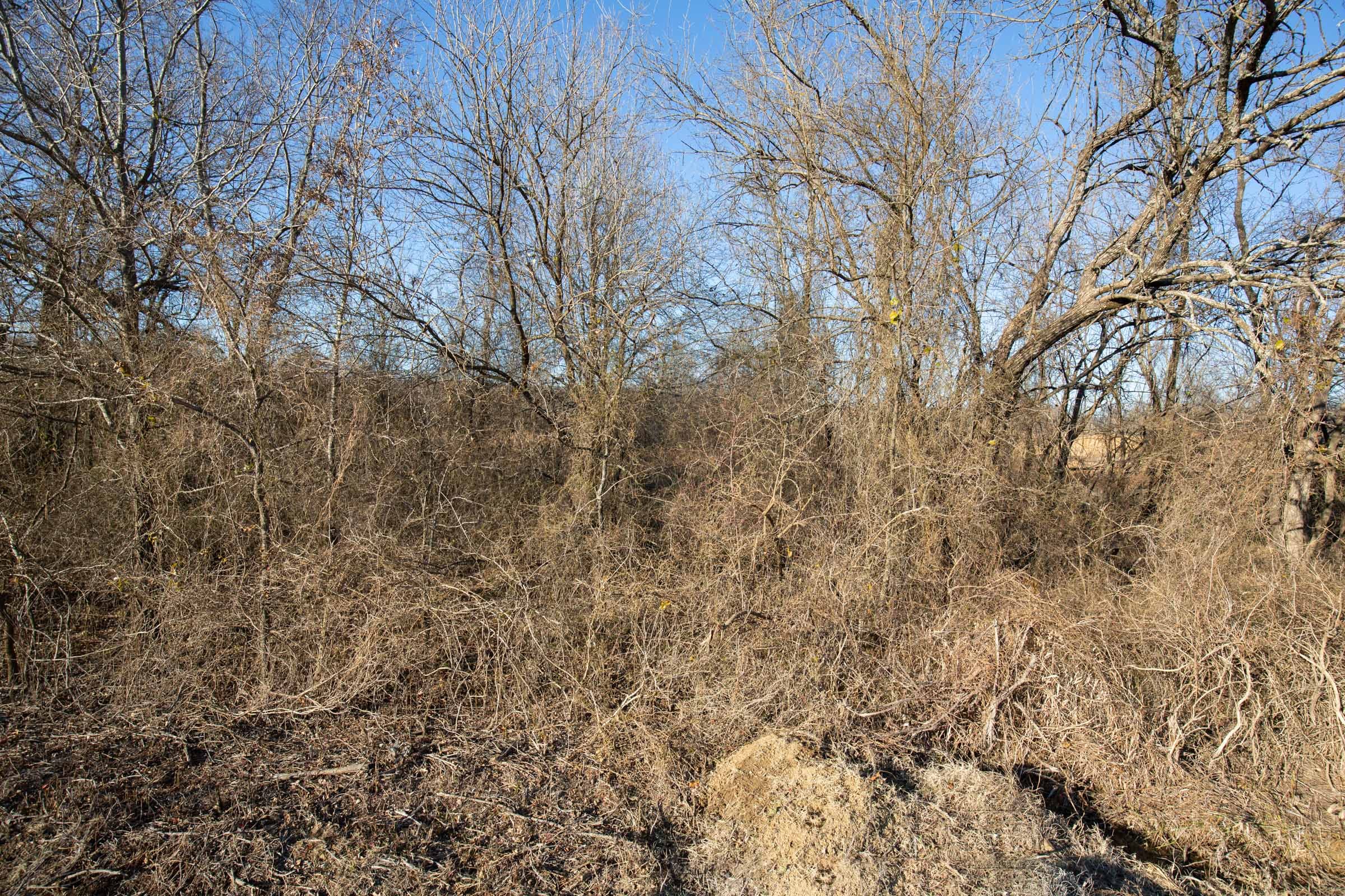 Painted Horse Tract 47 photo 12