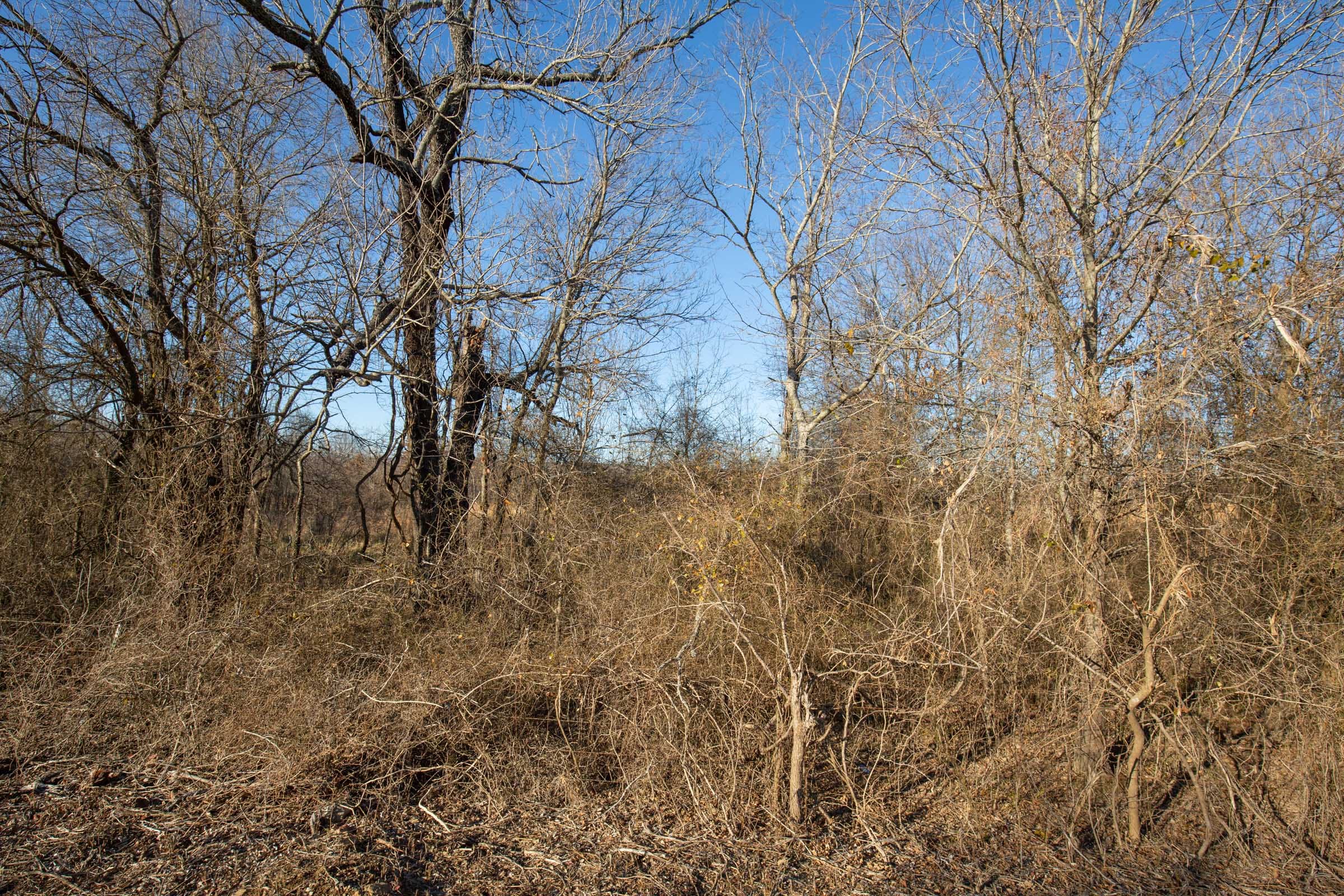 Painted Horse Tract 47 photo 13