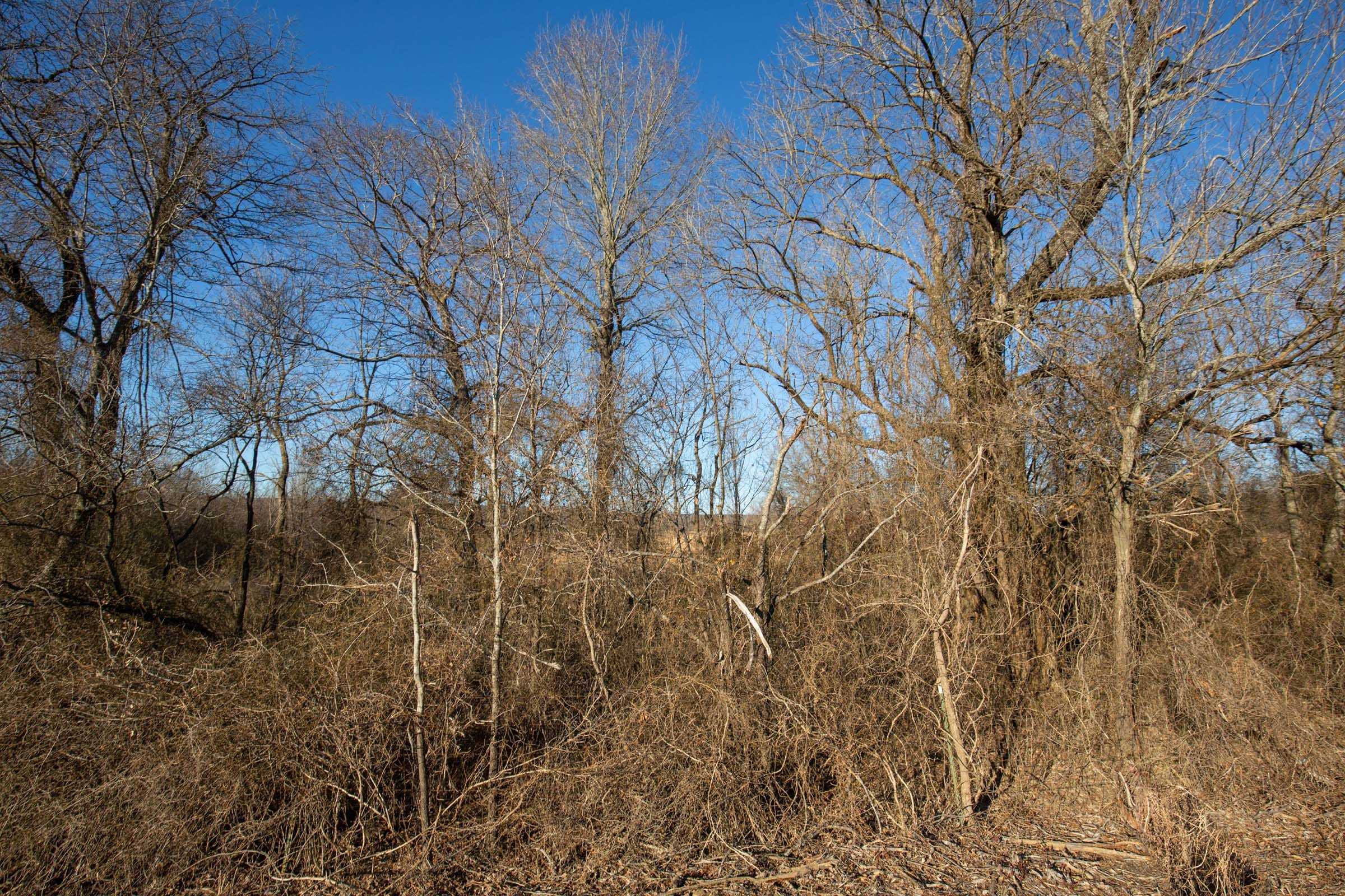 Painted Horse Tract 47 photo 14