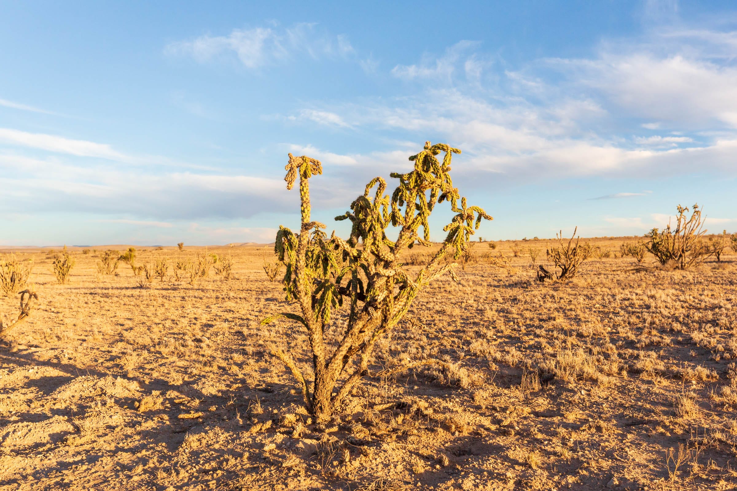 Sunrise Ranches Phase III Tract 137 photo 12