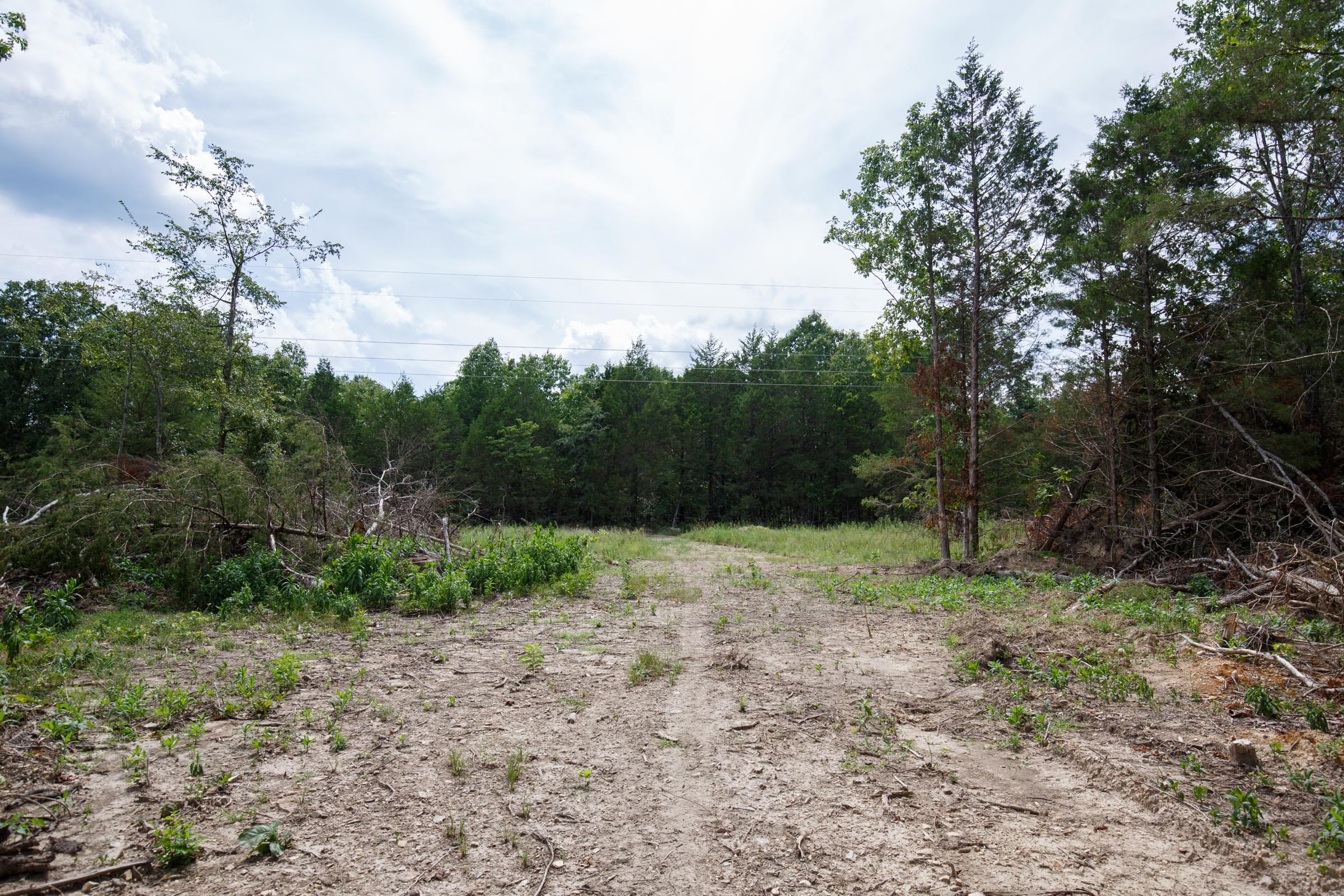 Wildwood Tract 26 photo 5