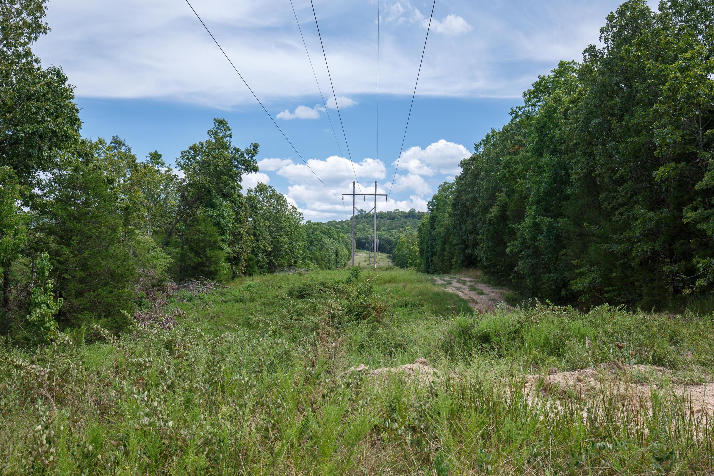 Wildwood Tract 26 photo 3