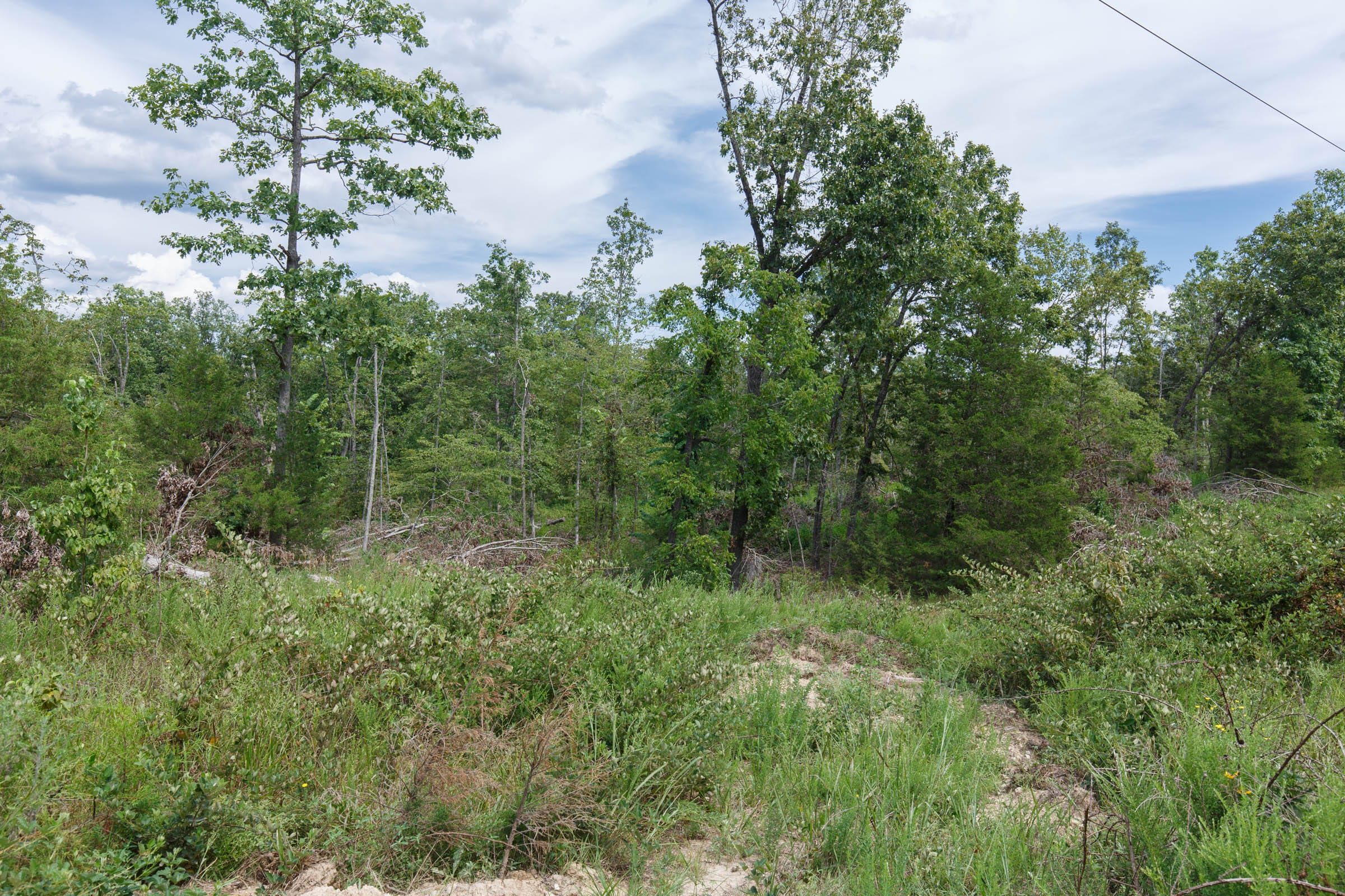Wildwood Tract 26 photo 7