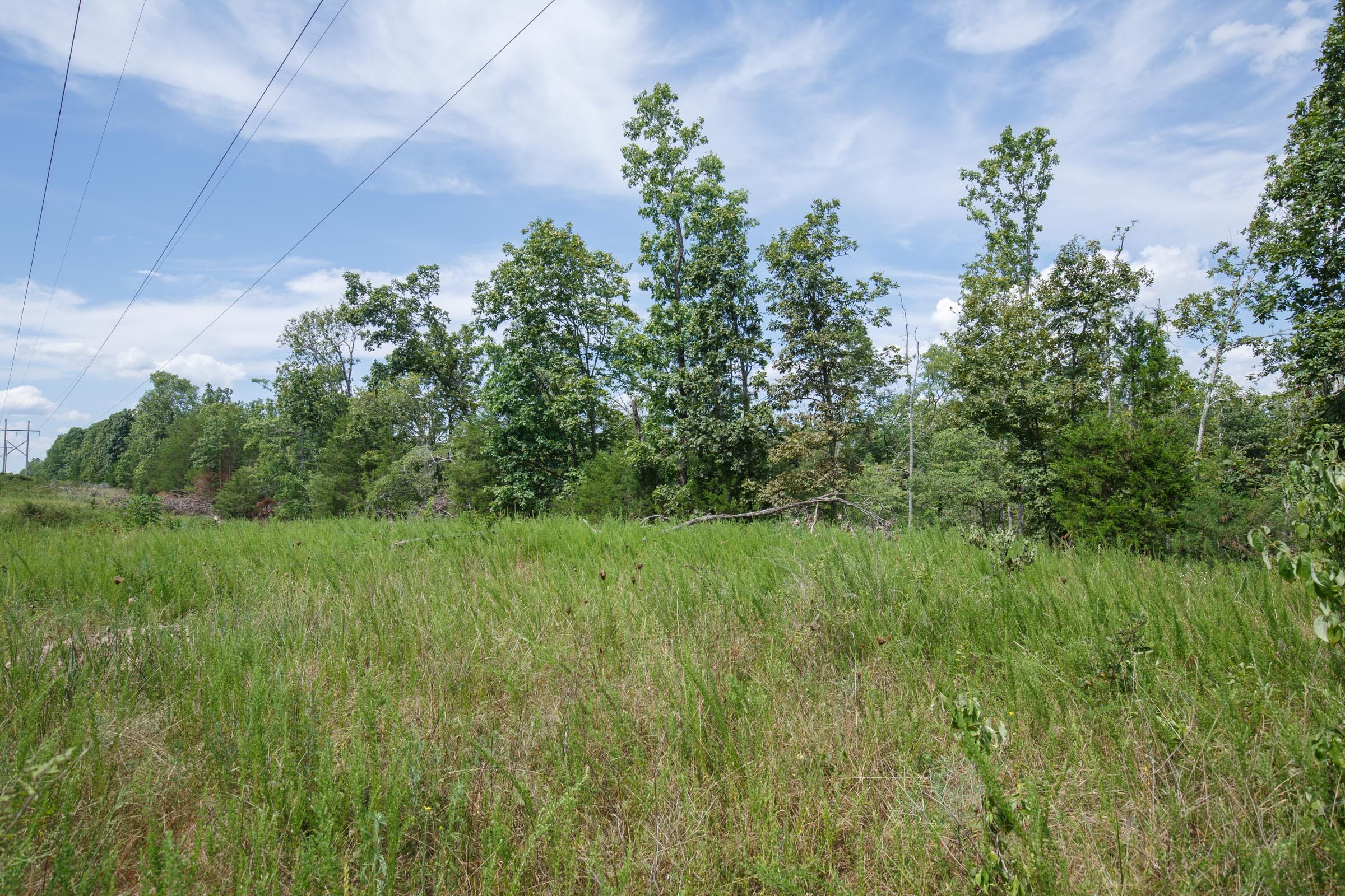 Wildwood Tract 26 photo 9