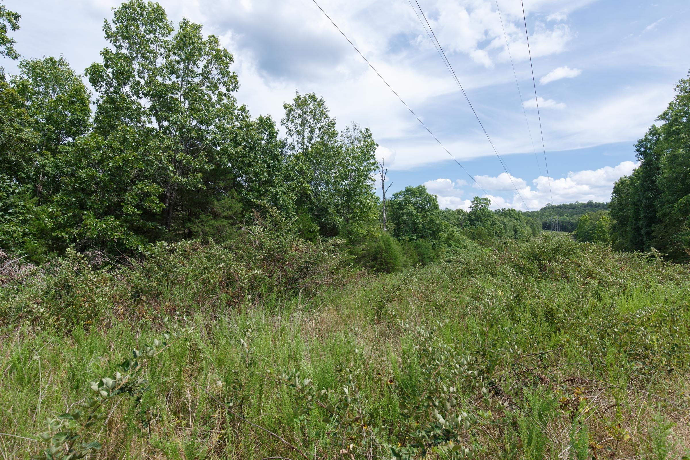 Wildwood Tract 26 photo 10