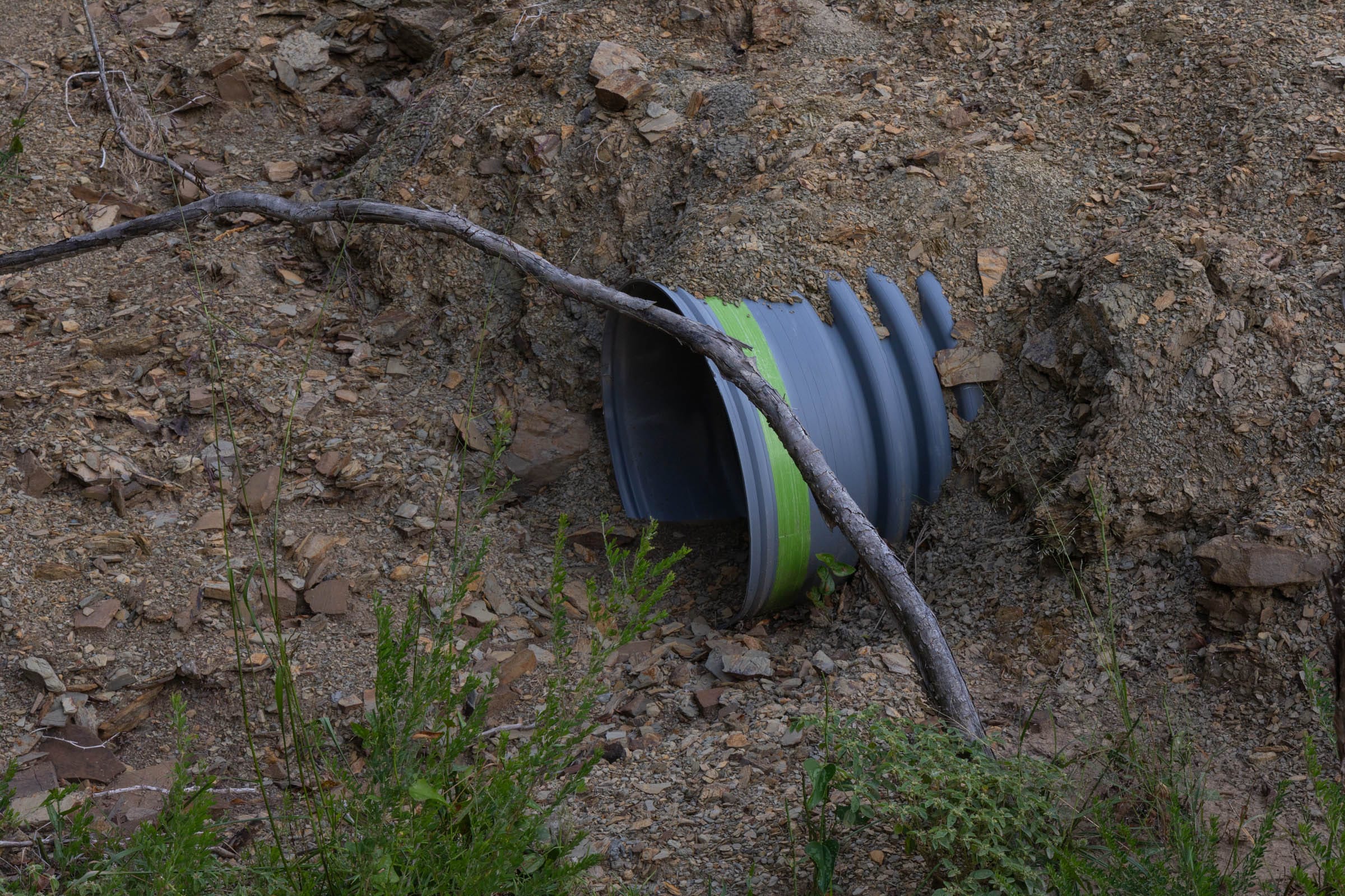 Reserves At Cattail Cove Phase II Tract 46 photo 7