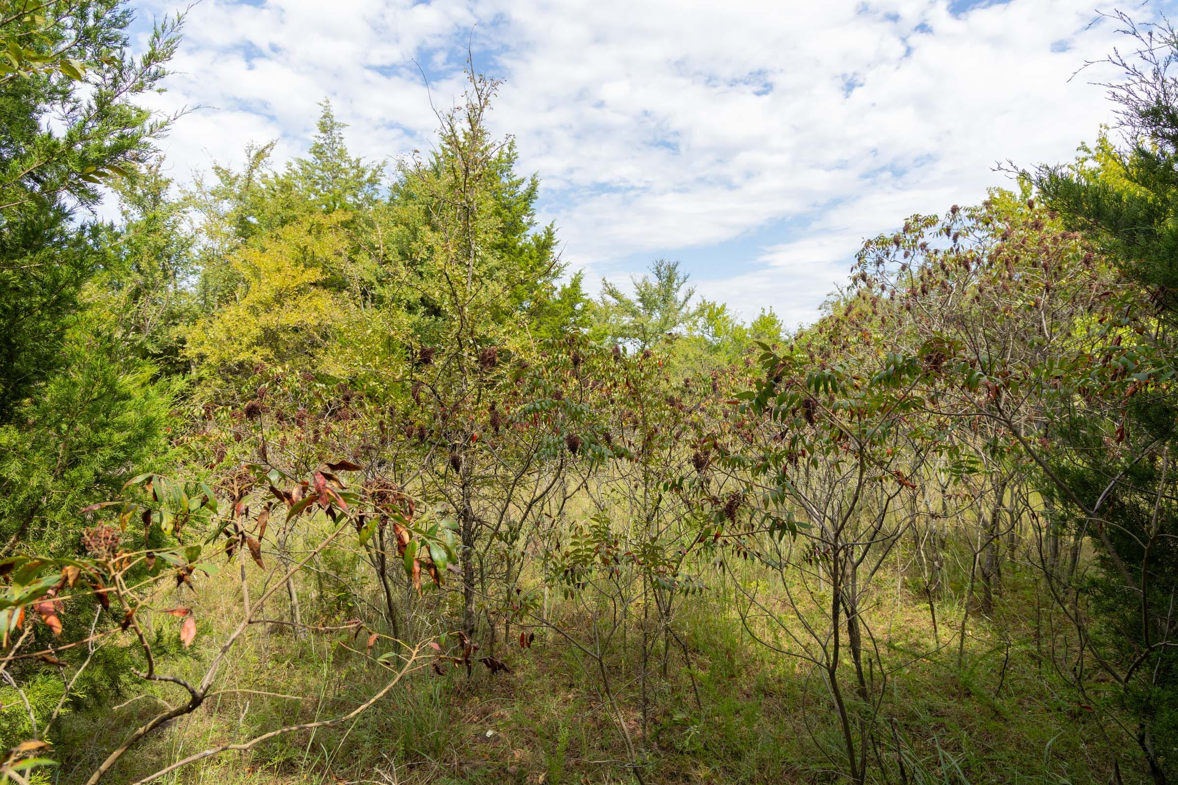 Reserves At Cattail Cove Phase II Tract 78 photo 23