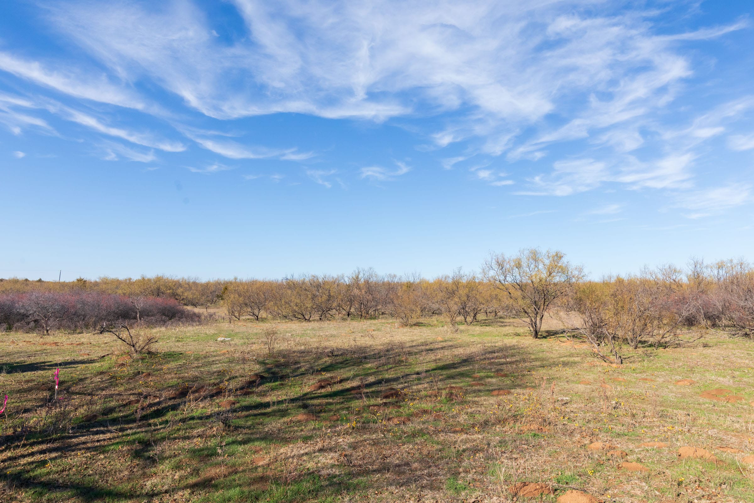 Coyote Ridge Tract 2 photo 4