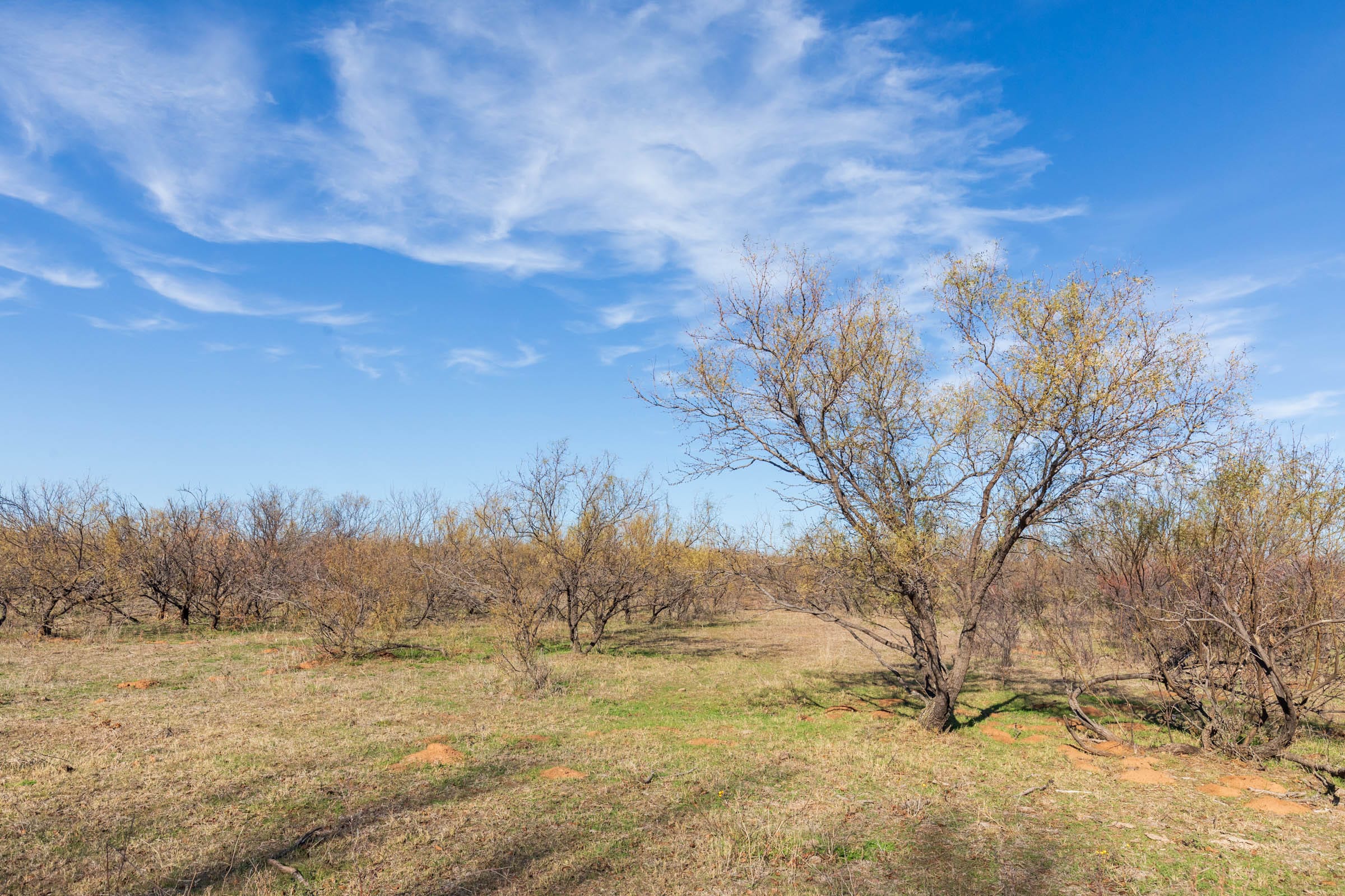 Coyote Ridge Tract 2 photo 6