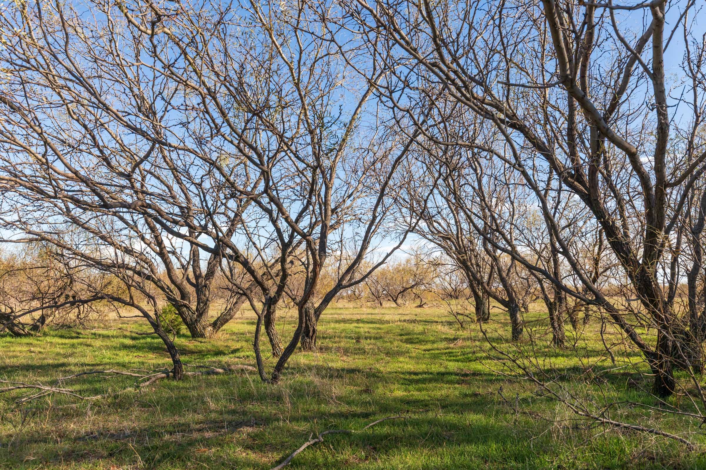 Coyote Ridge Tract 2 photo 8