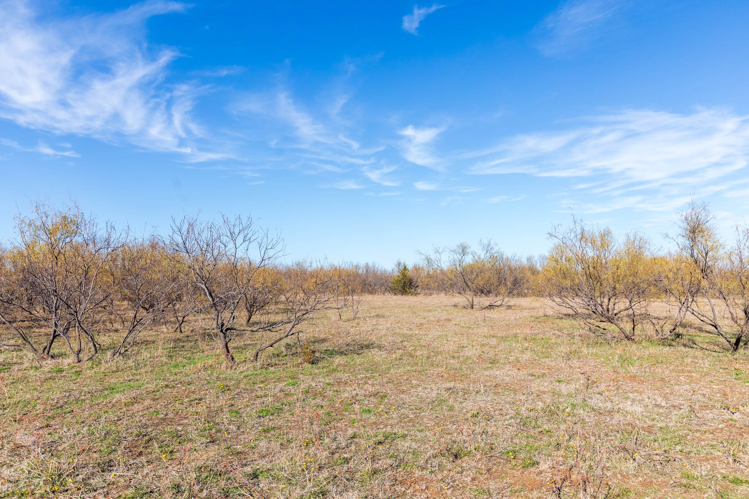 Coyote Ridge Tract 2 photo 13