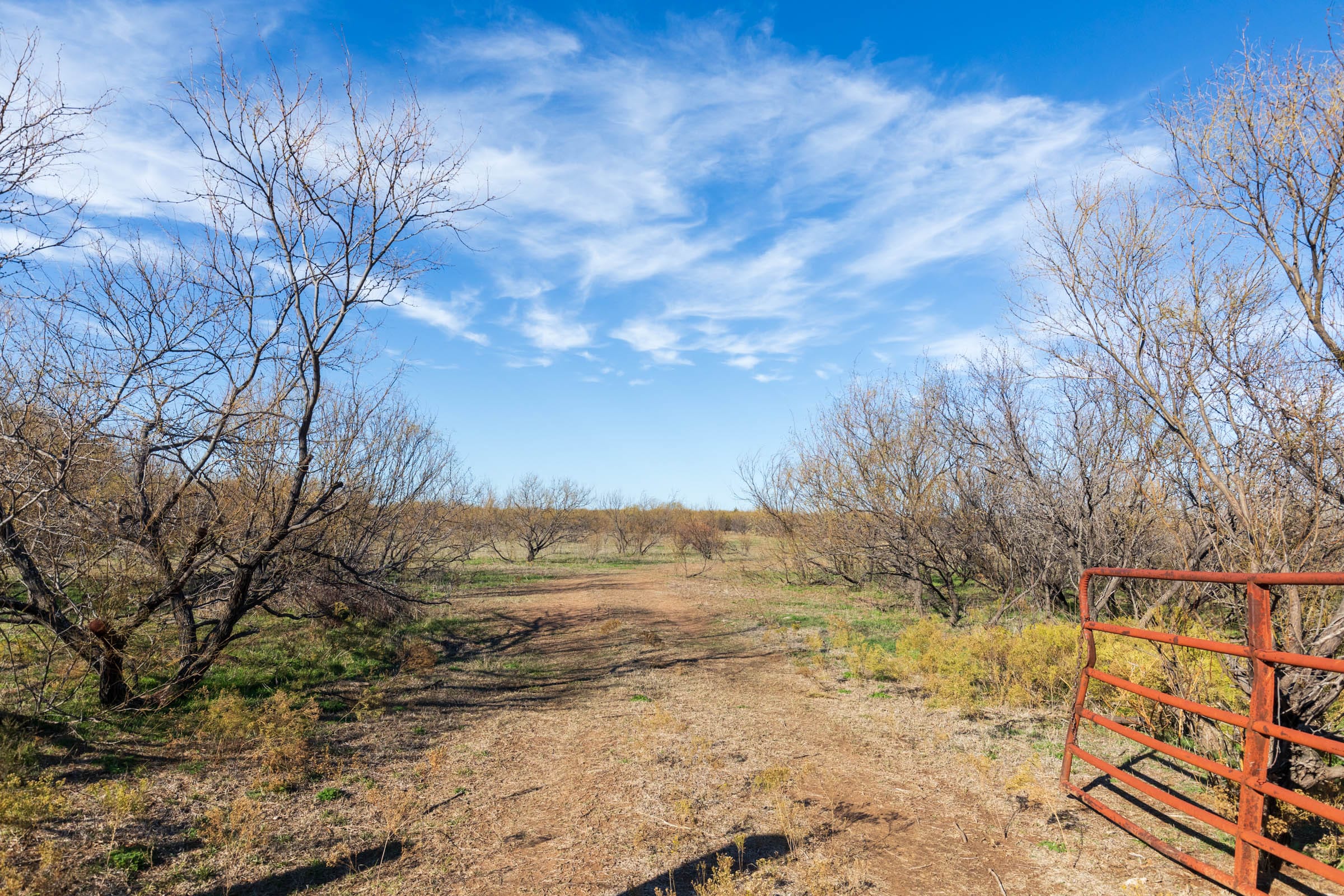 Coyote Ridge Tract 2 photo 16