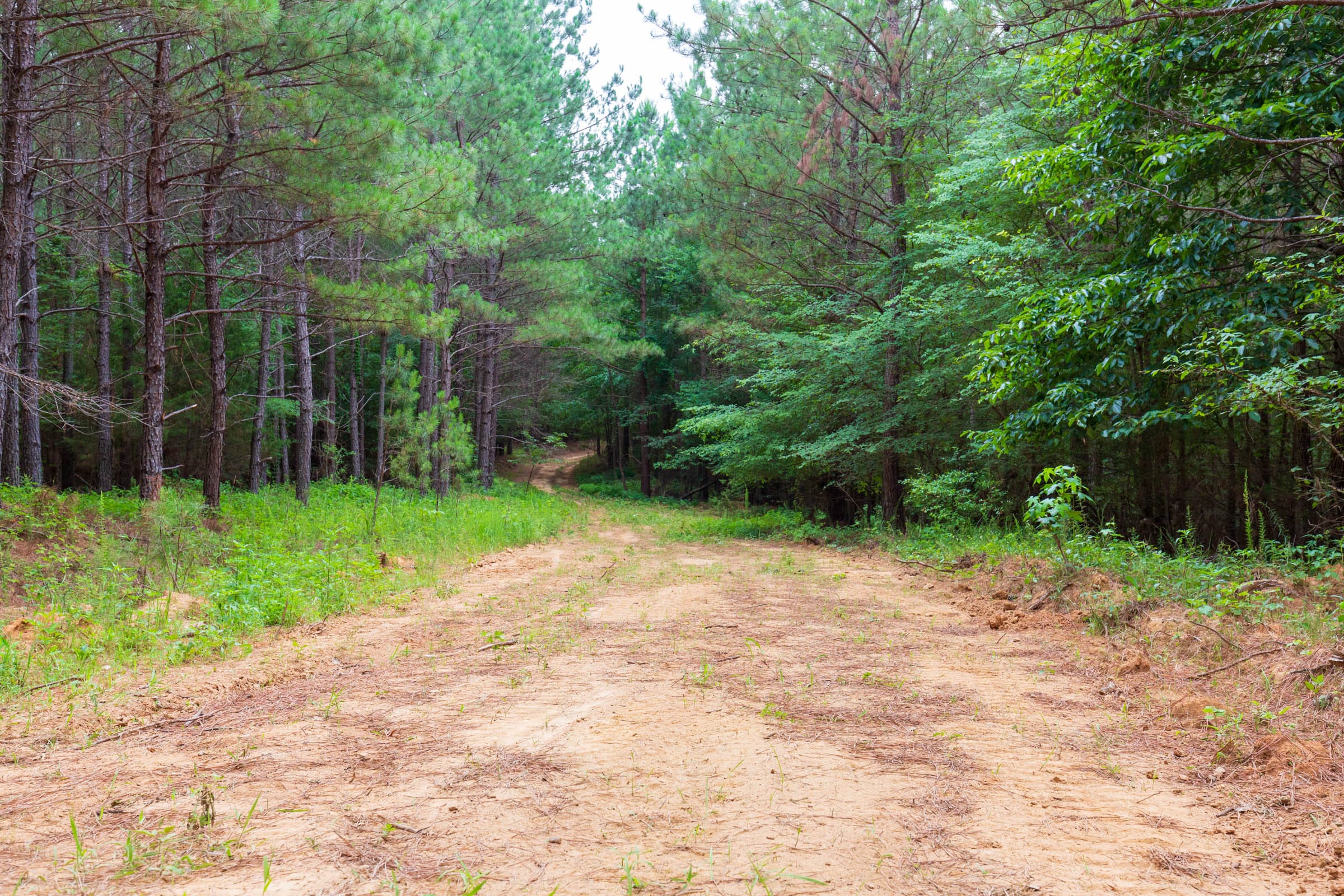 Whiskey Ridge Tract 81 photo 1