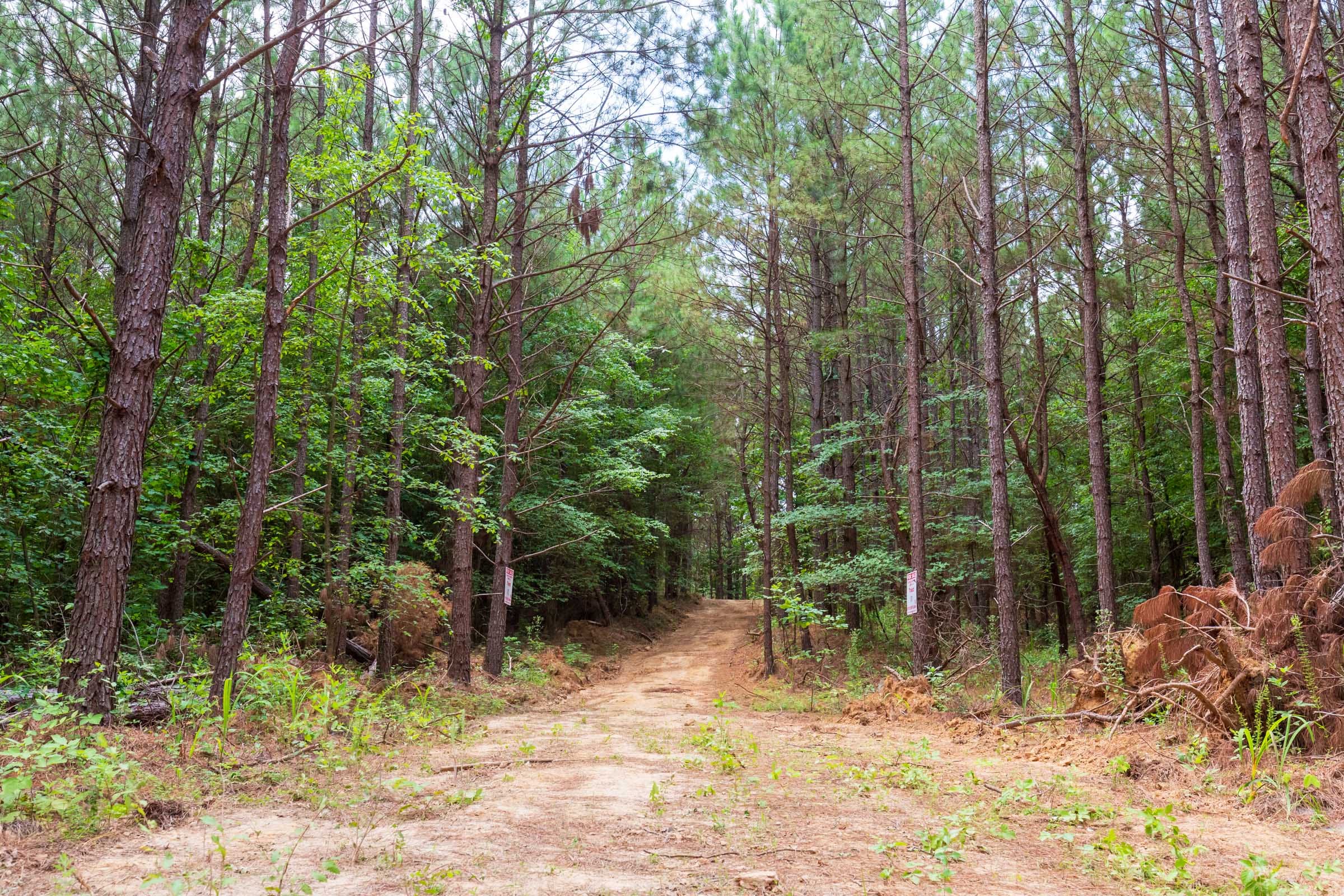 Whiskey Ridge Tract 81 photo 13