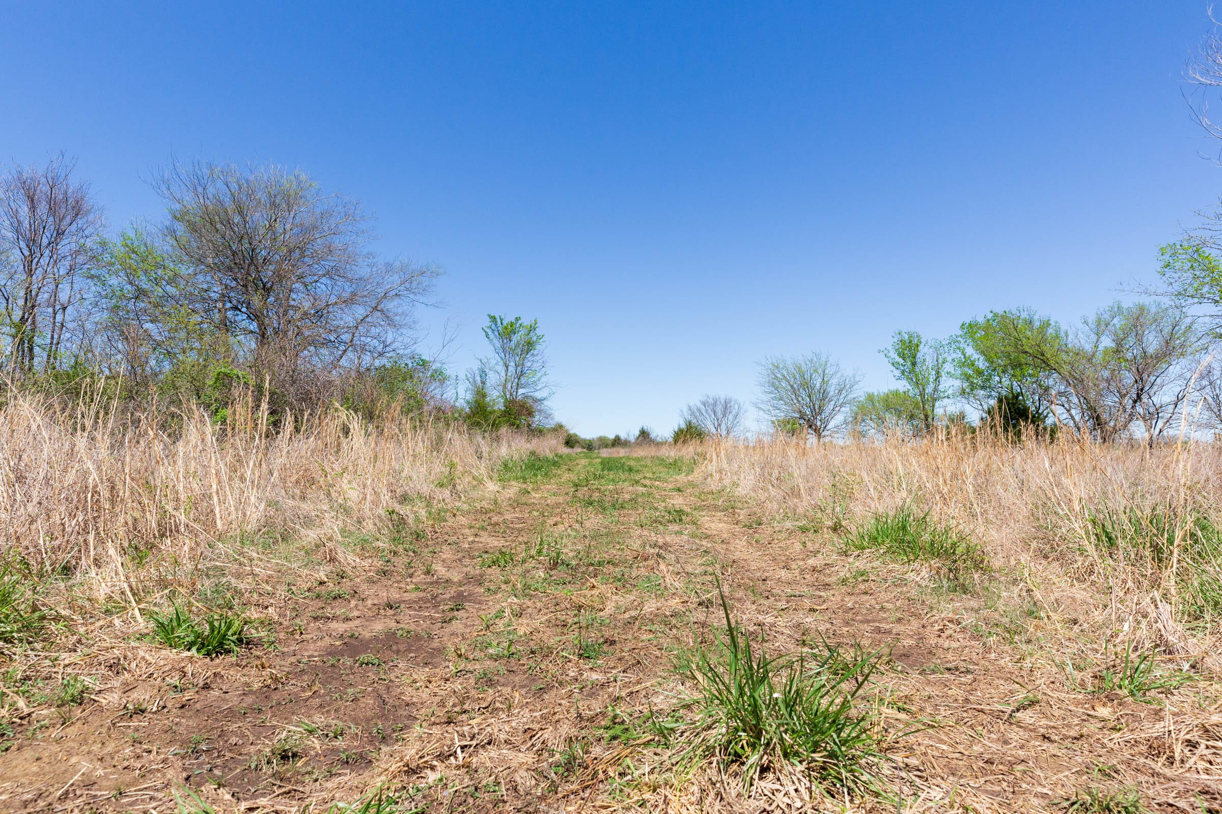 Prairie Grove Tract 23 photo 1