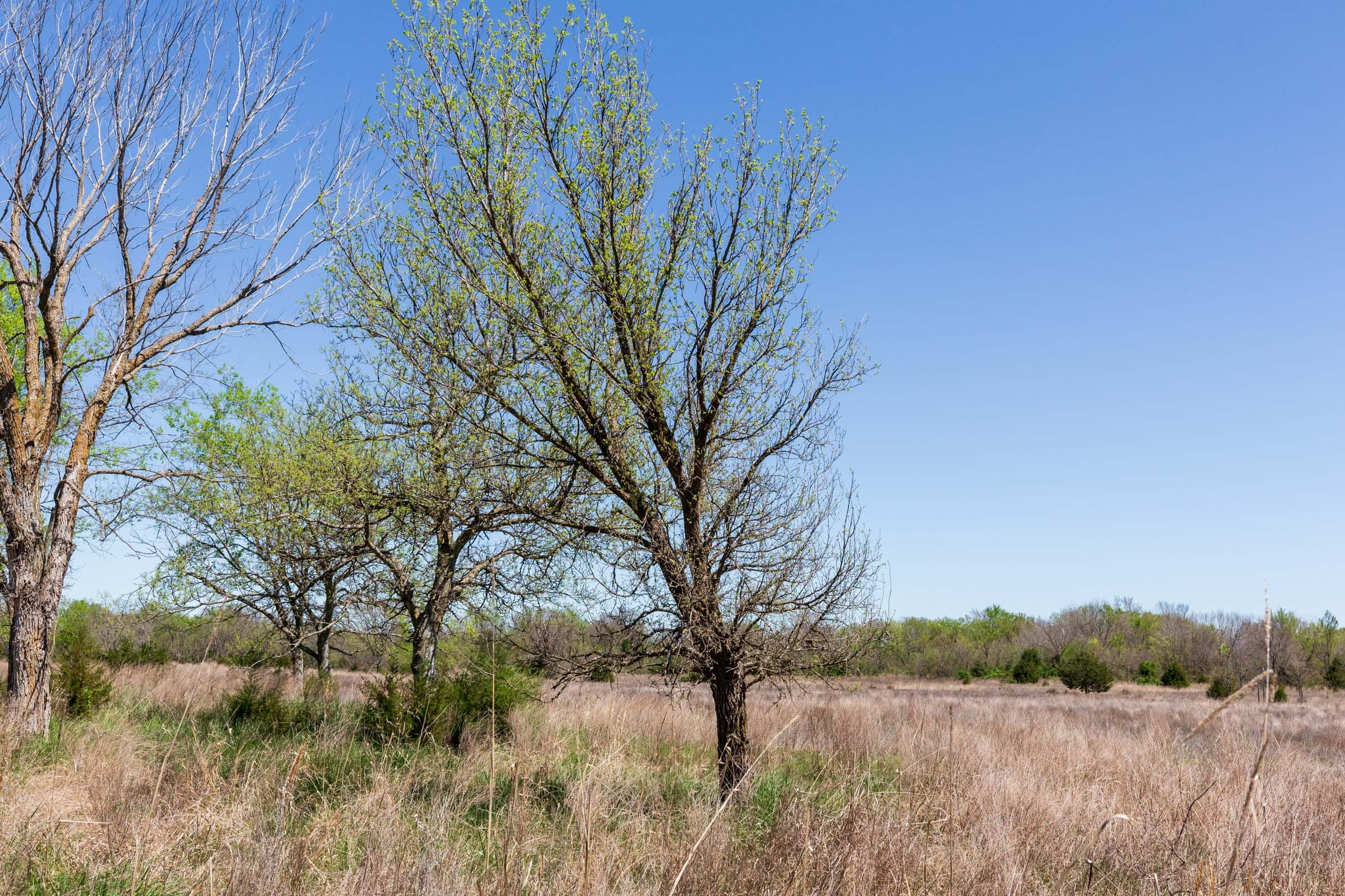 Prairie Grove Tract 23 photo 2