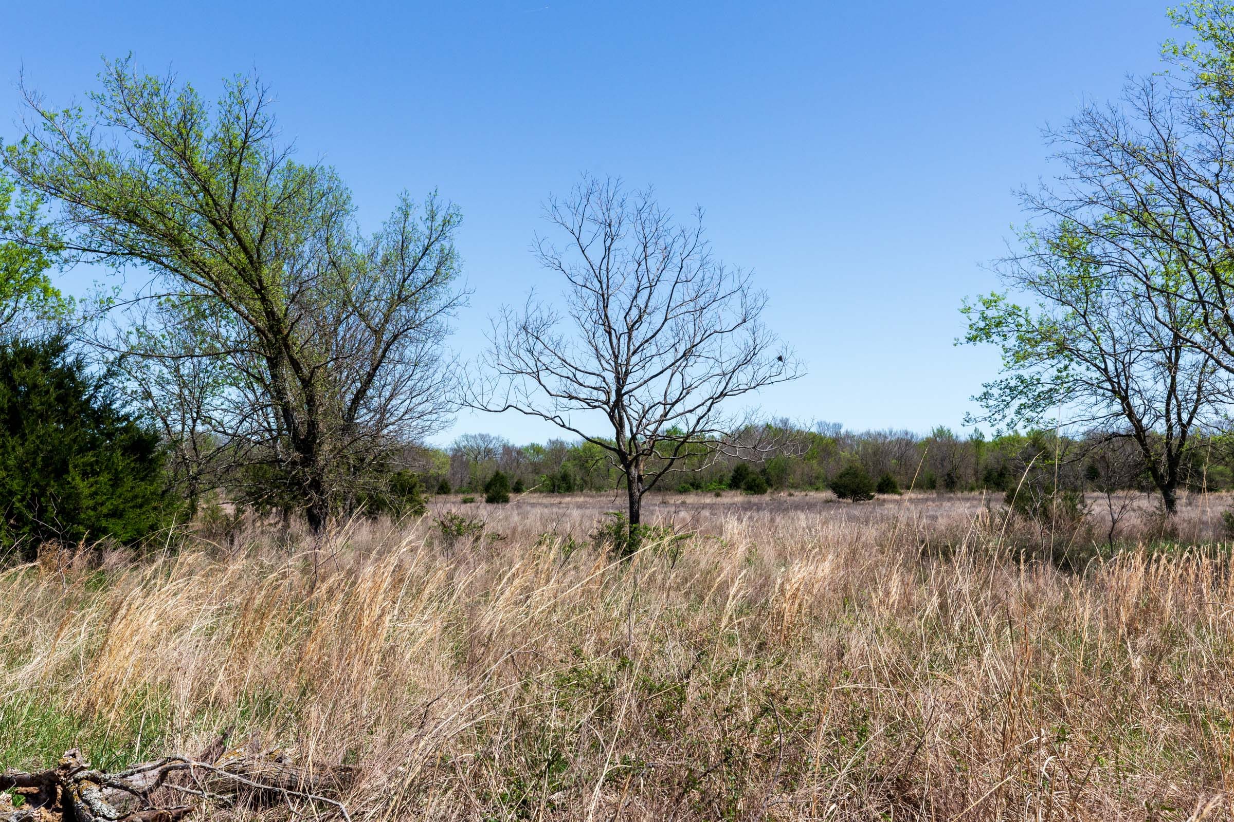 Prairie Grove Tract 23 photo 3