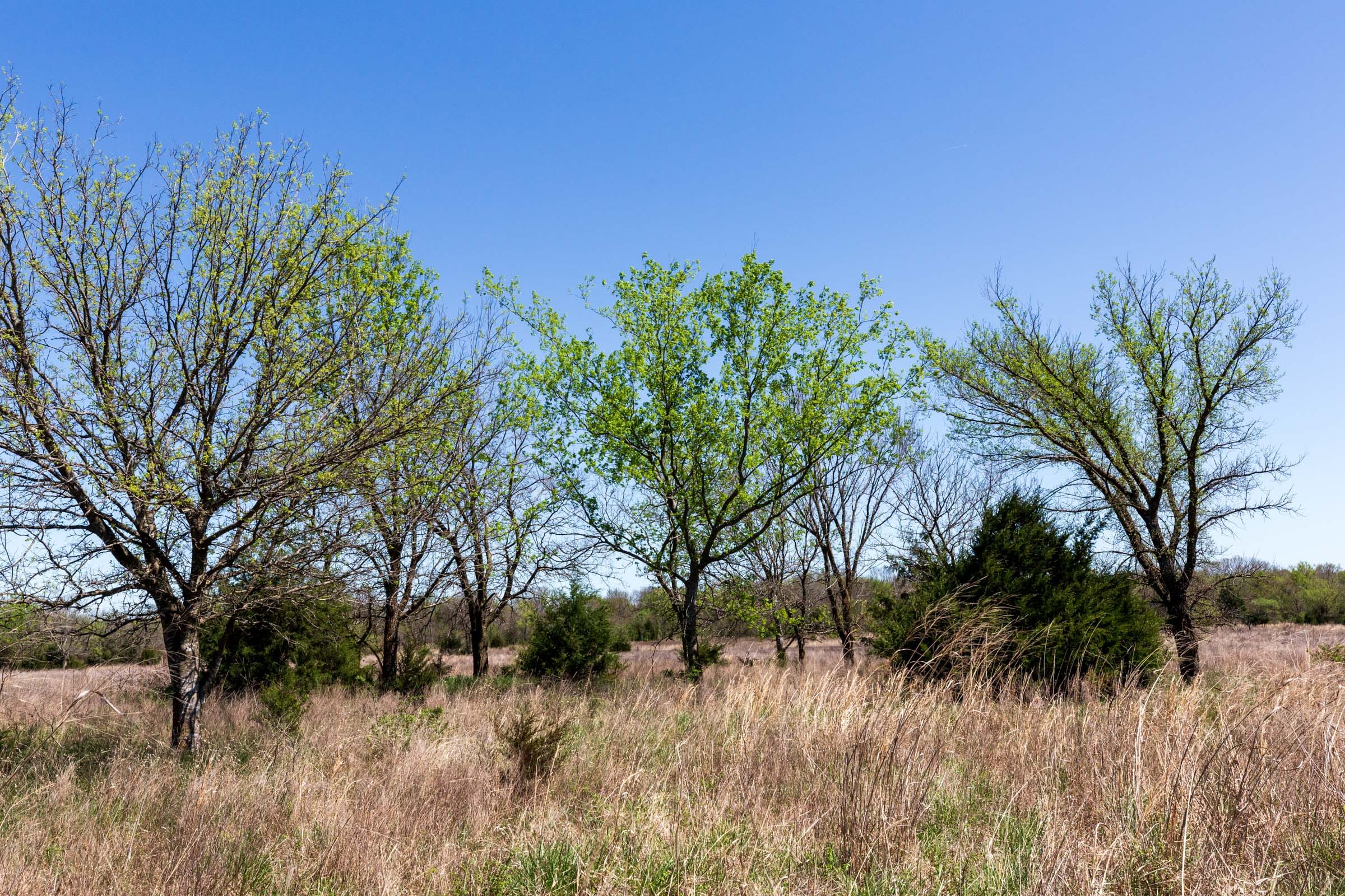 Prairie Grove Tract 23 photo 8