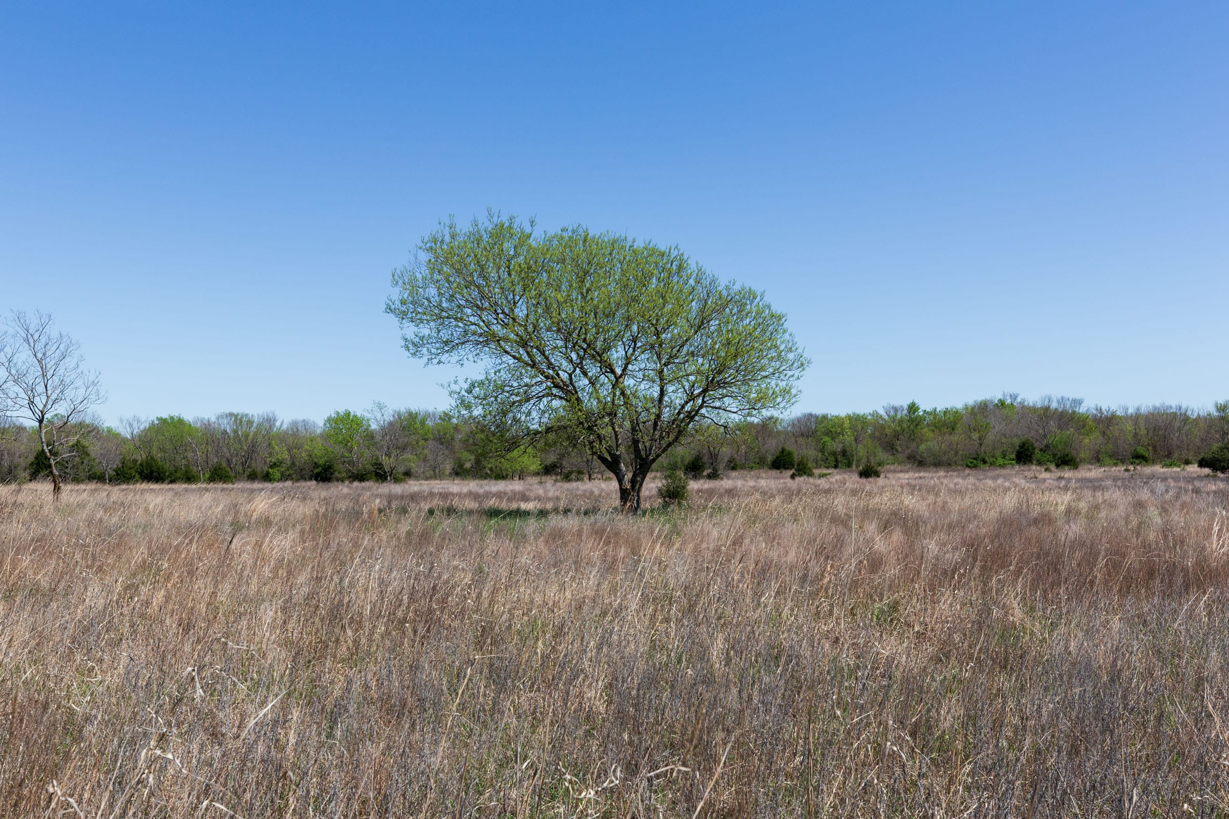 Prairie Grove Tract 23 photo 7