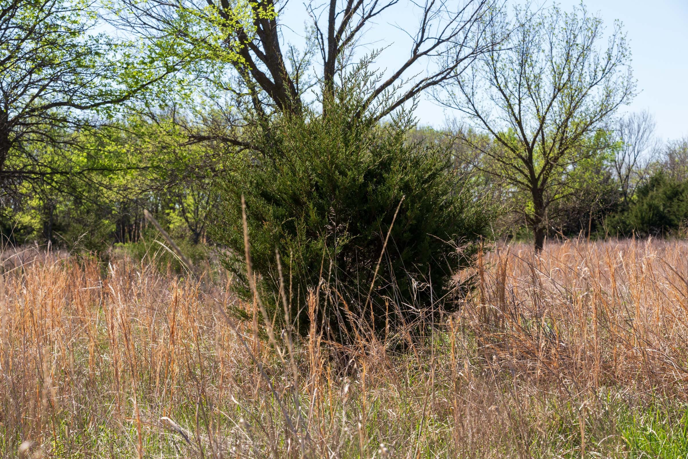 Prairie Grove Tract 23 photo 14