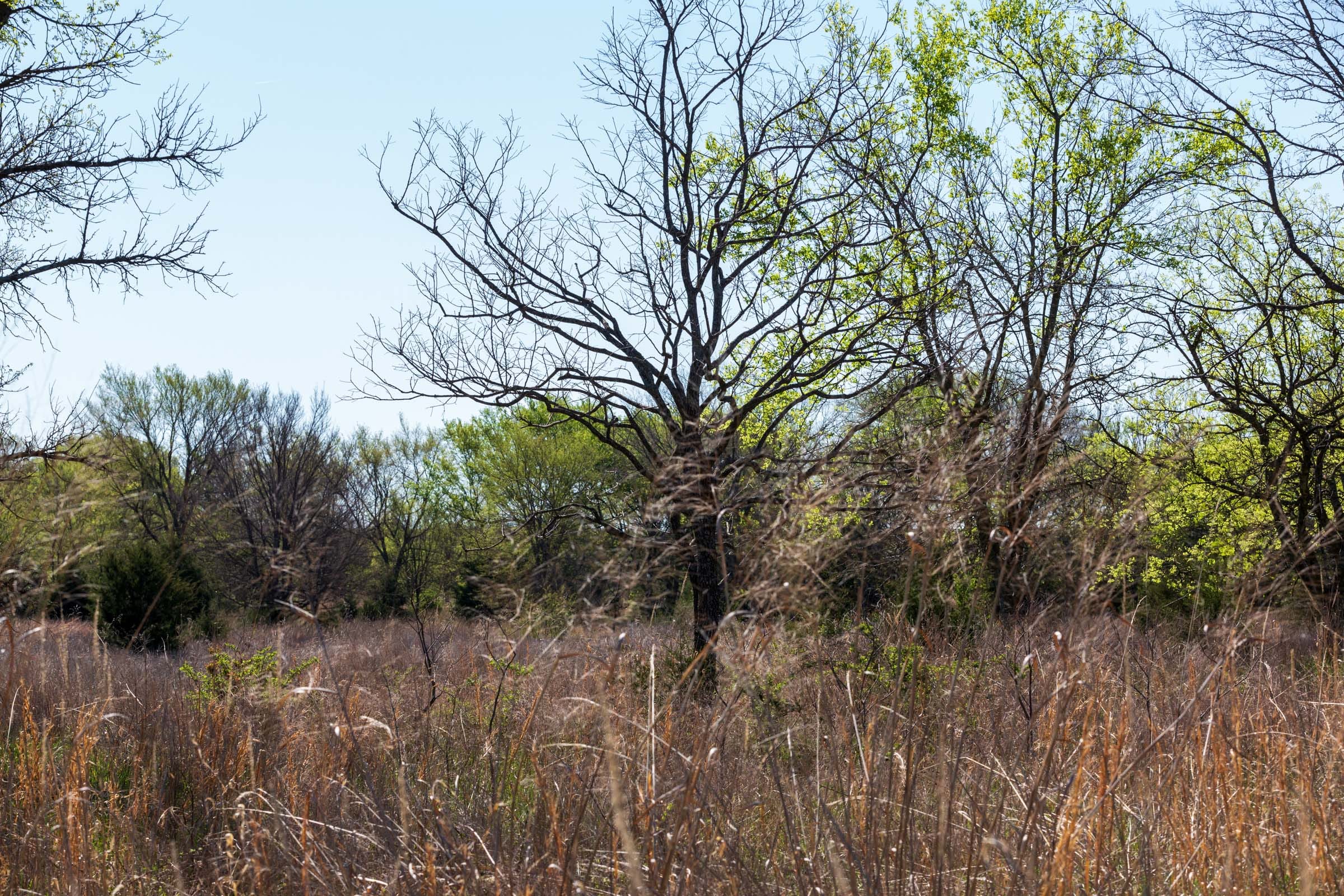Prairie Grove Tract 23 photo 15