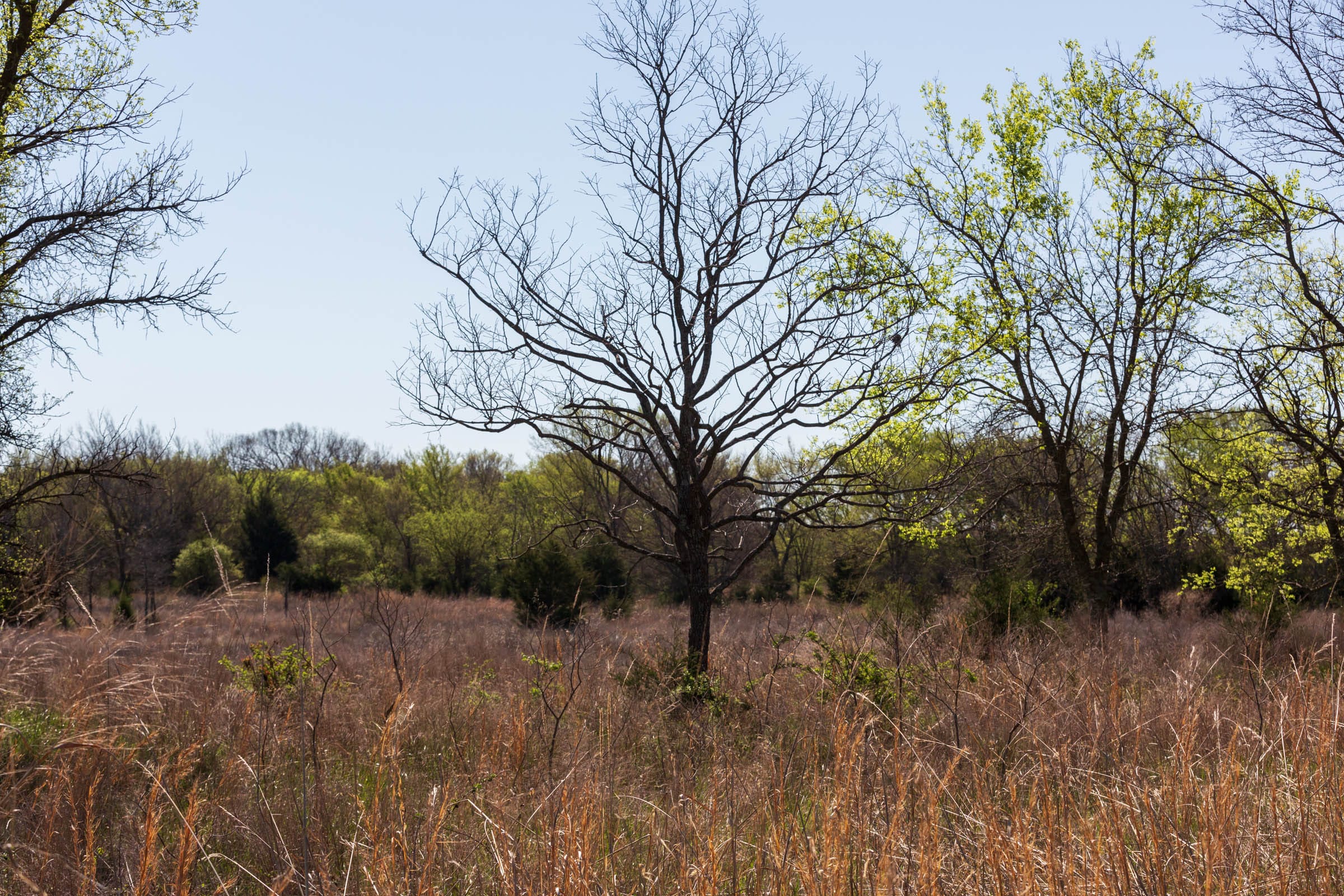 Prairie Grove Tract 23 photo 17