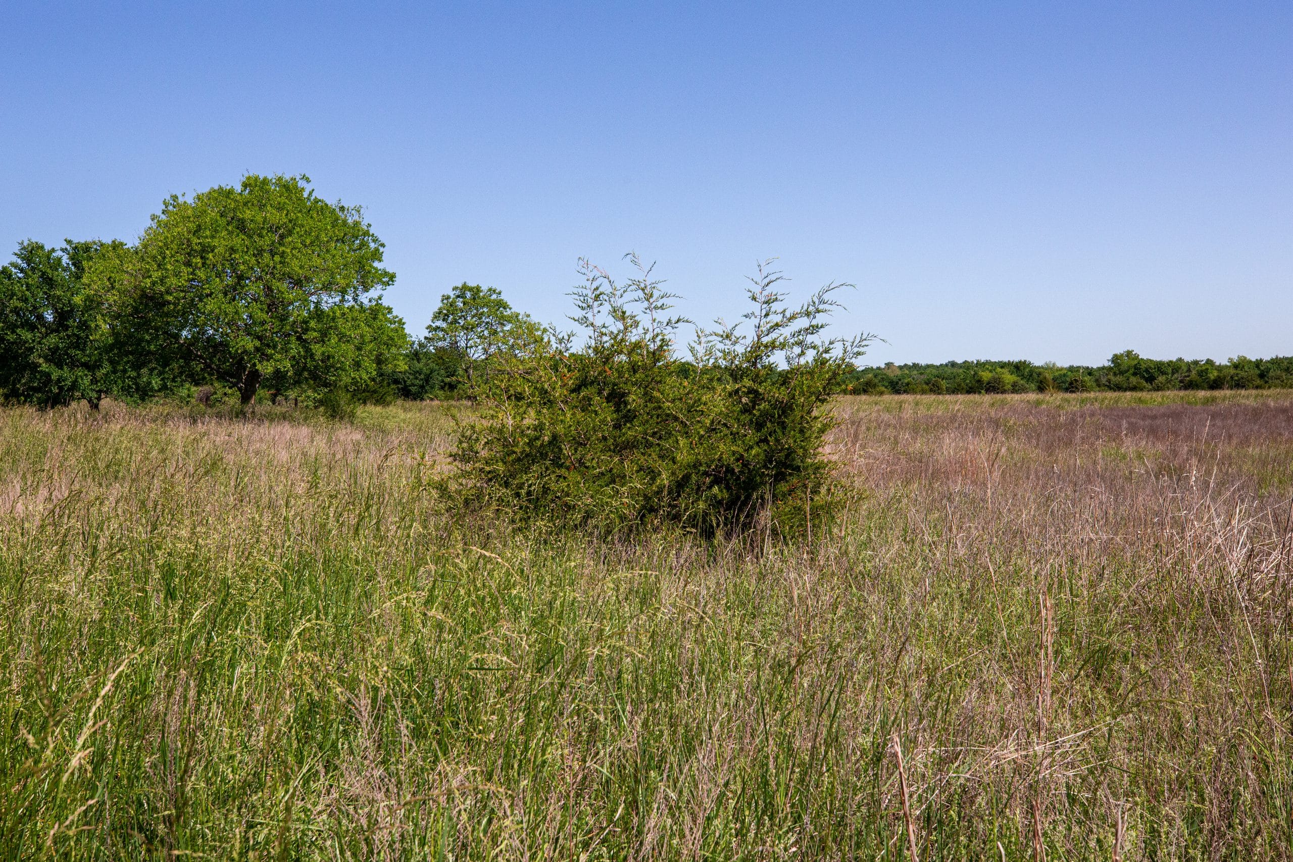 Prairie Grove Tract 23 photo 21