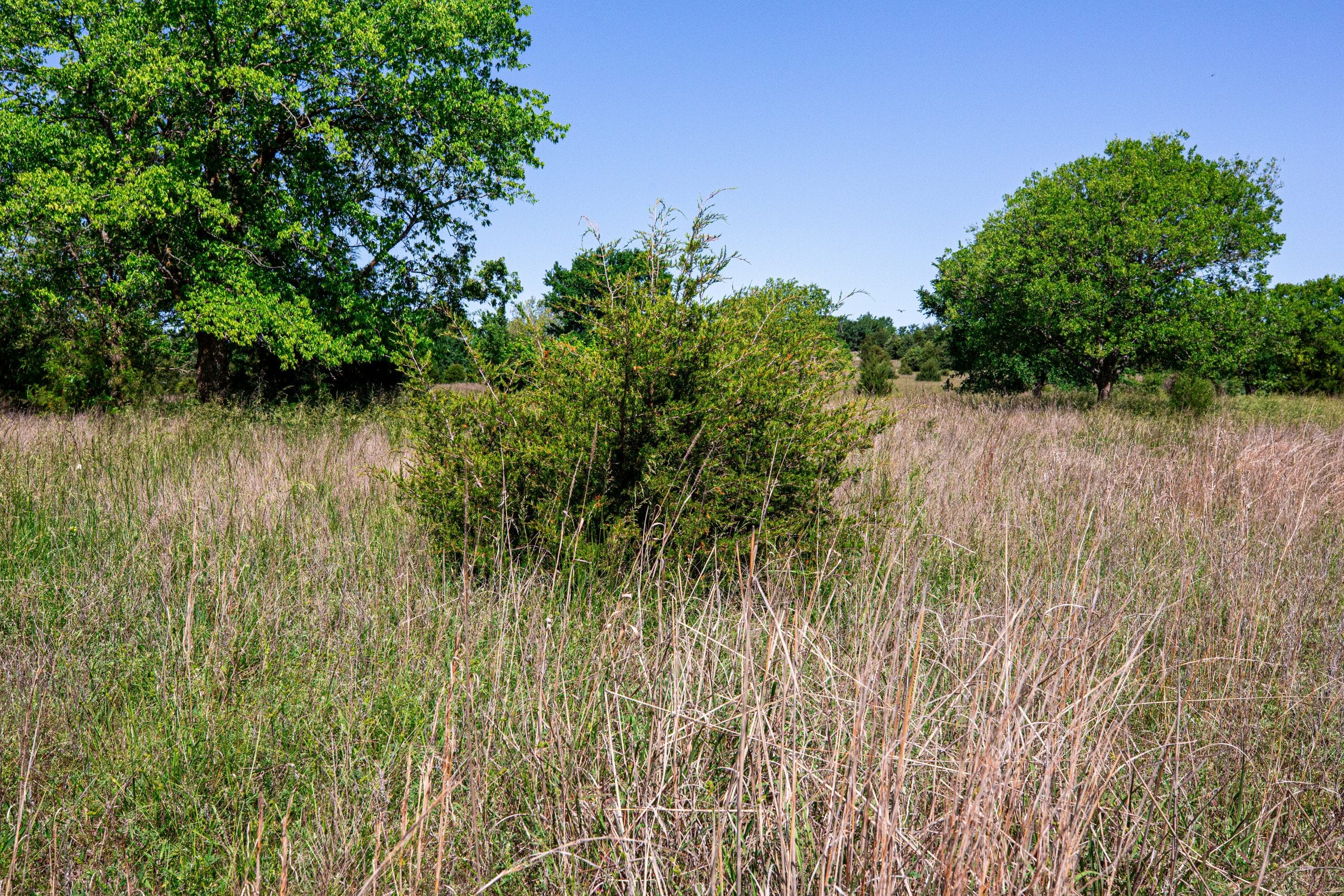 Prairie Grove Tract 23 photo 9