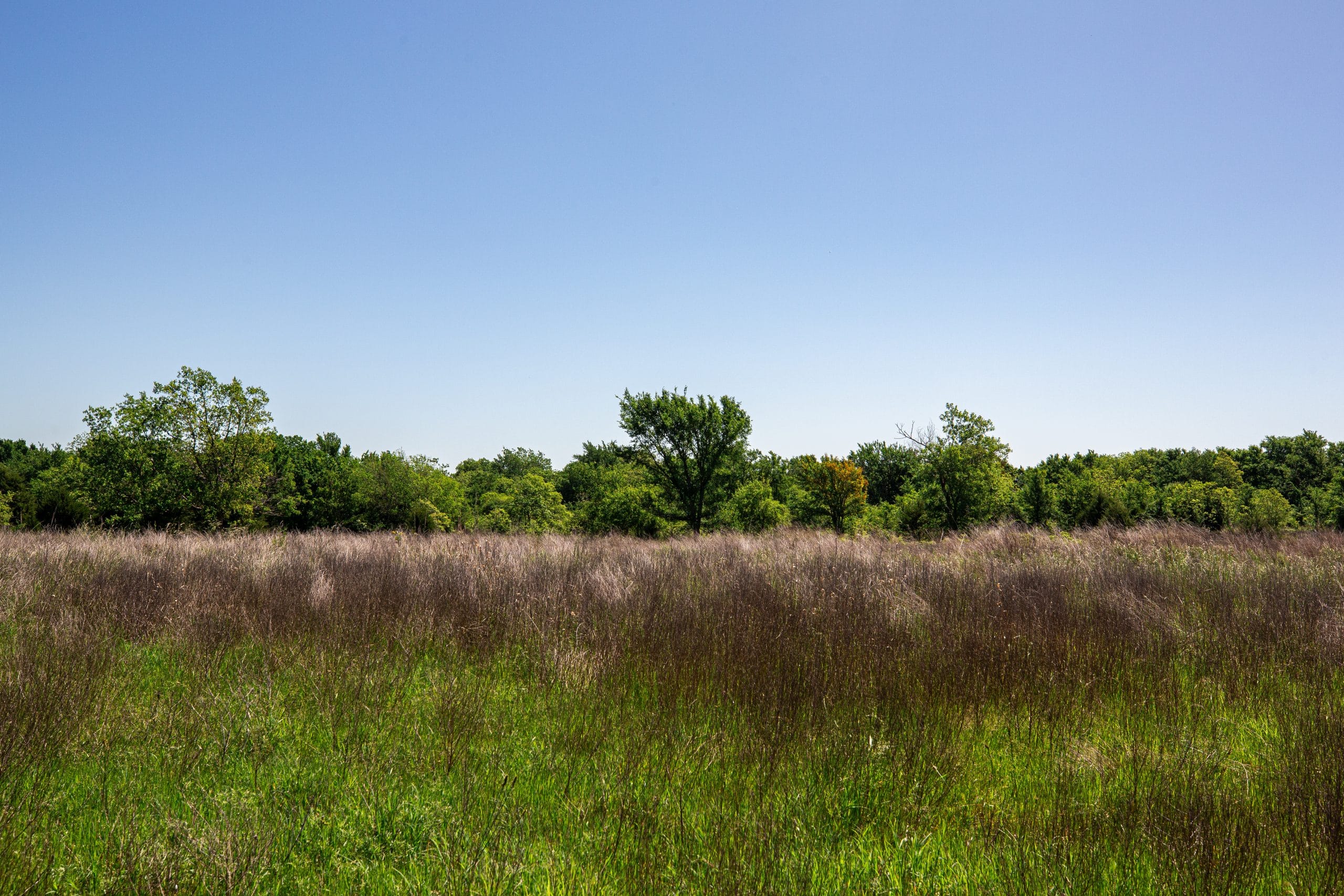 Prairie Grove Tract 23 photo 4