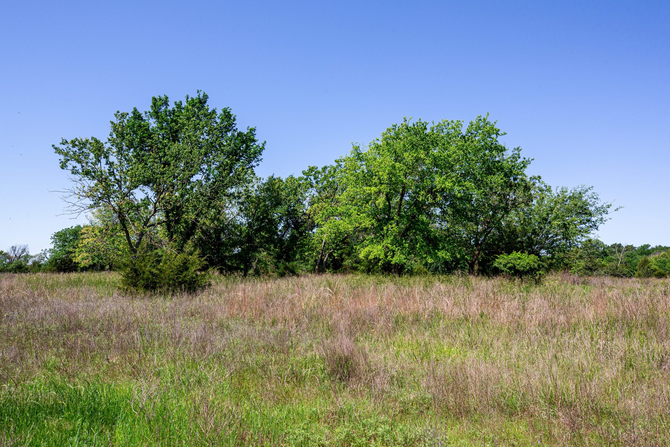 Prairie Grove Tract 23 photo 18
