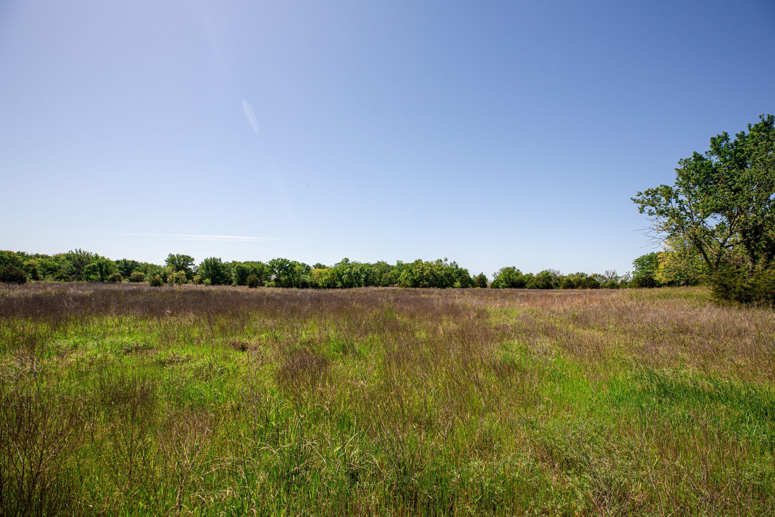 Prairie Grove Tract 23 photo 16