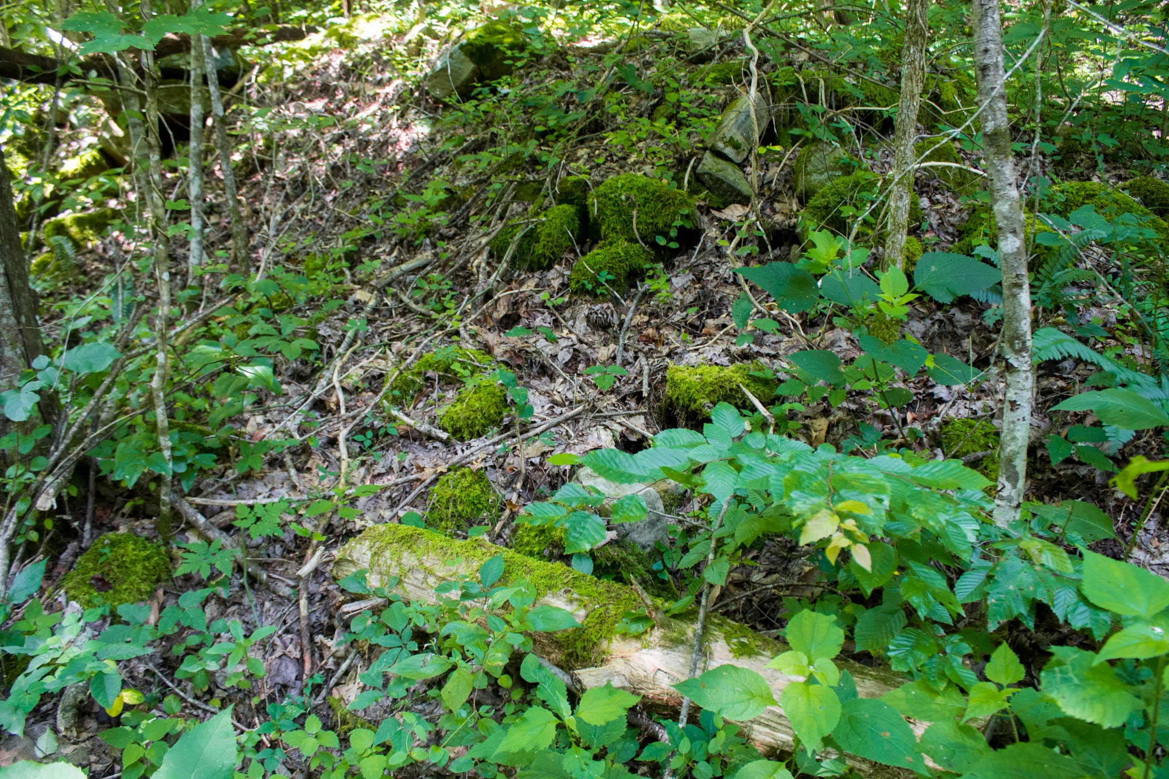 Bluewater Ridge Tract 11 photo 1