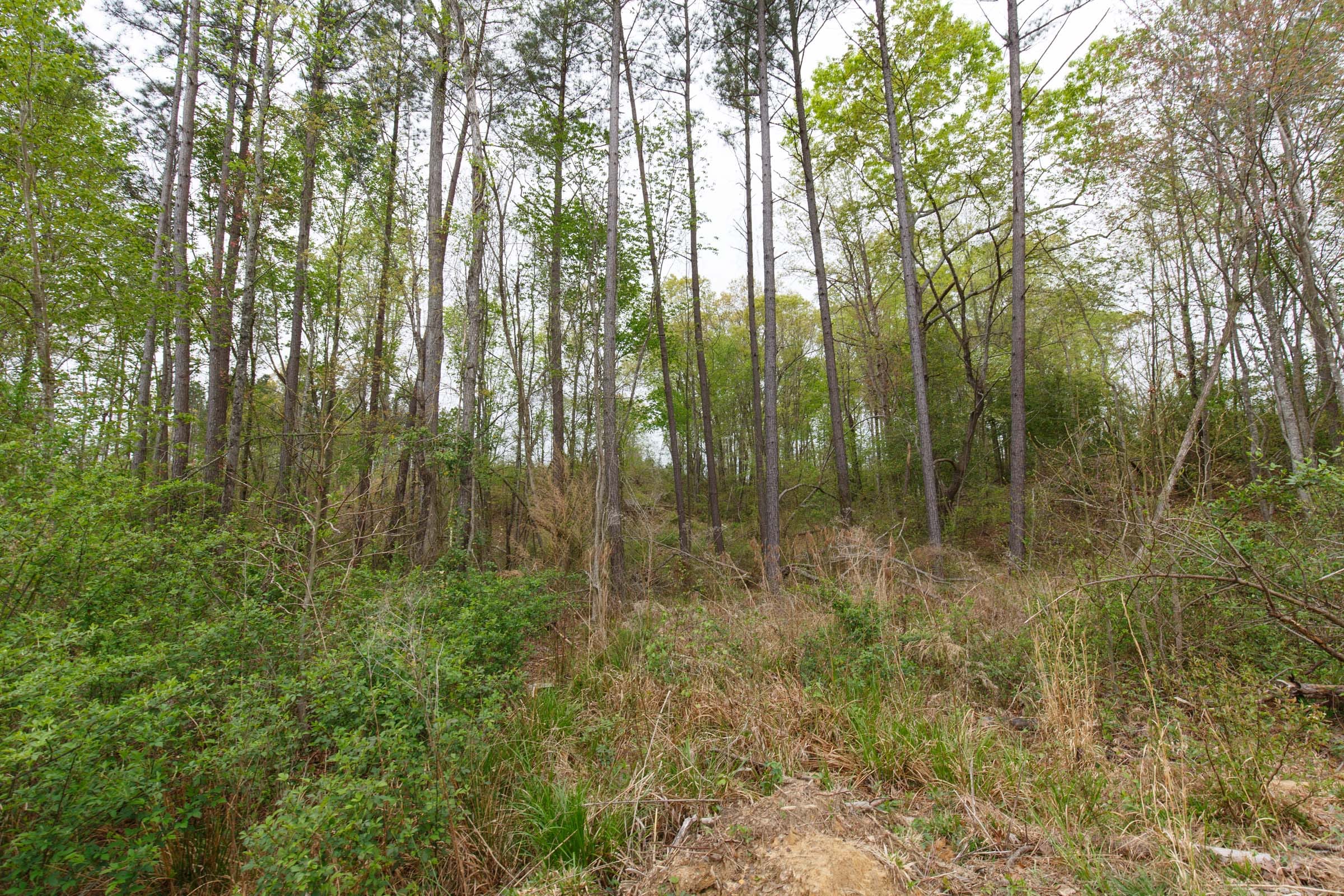 Twin Rivers Tract 34 photo 3